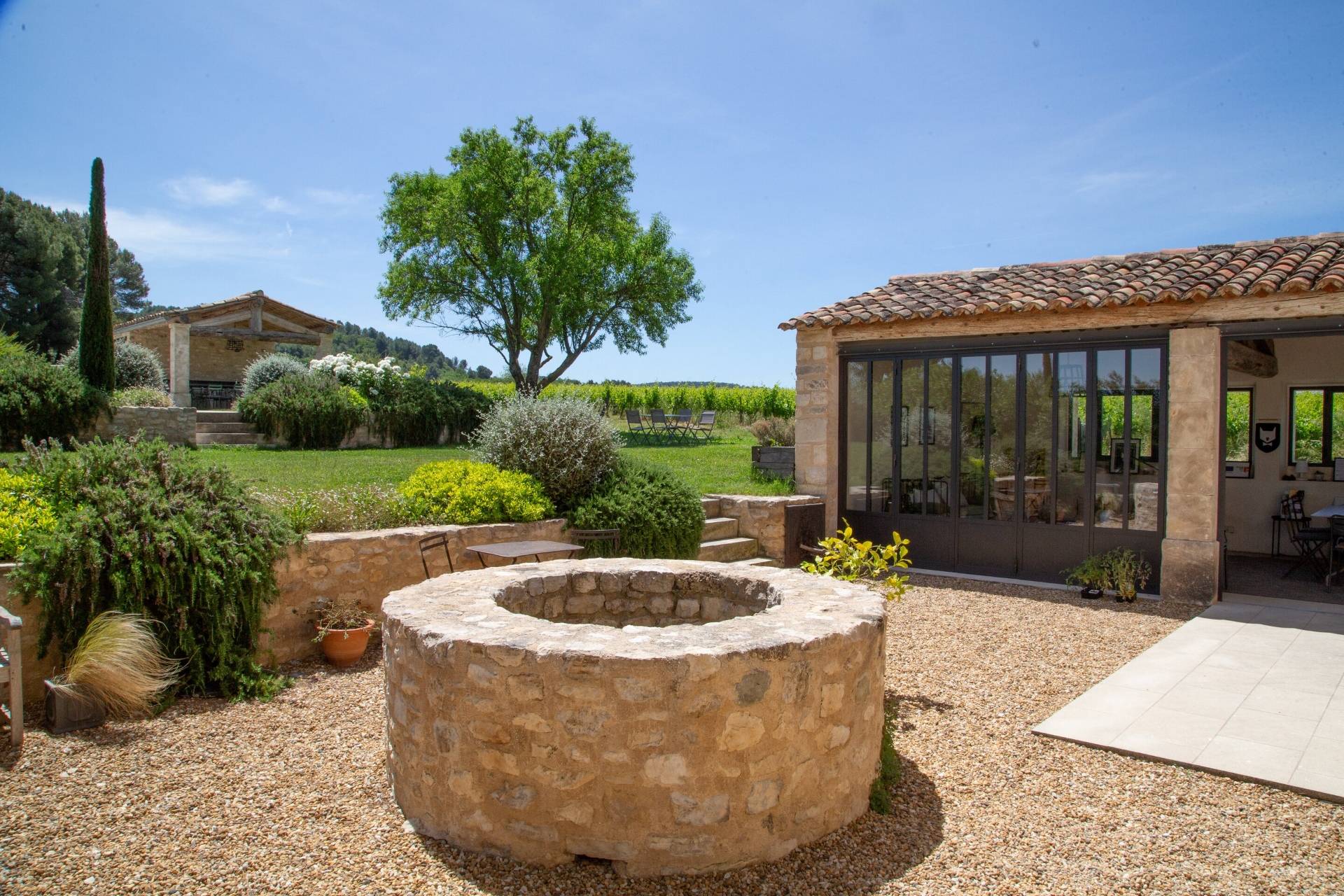 Guided tasting of 3 organic wines