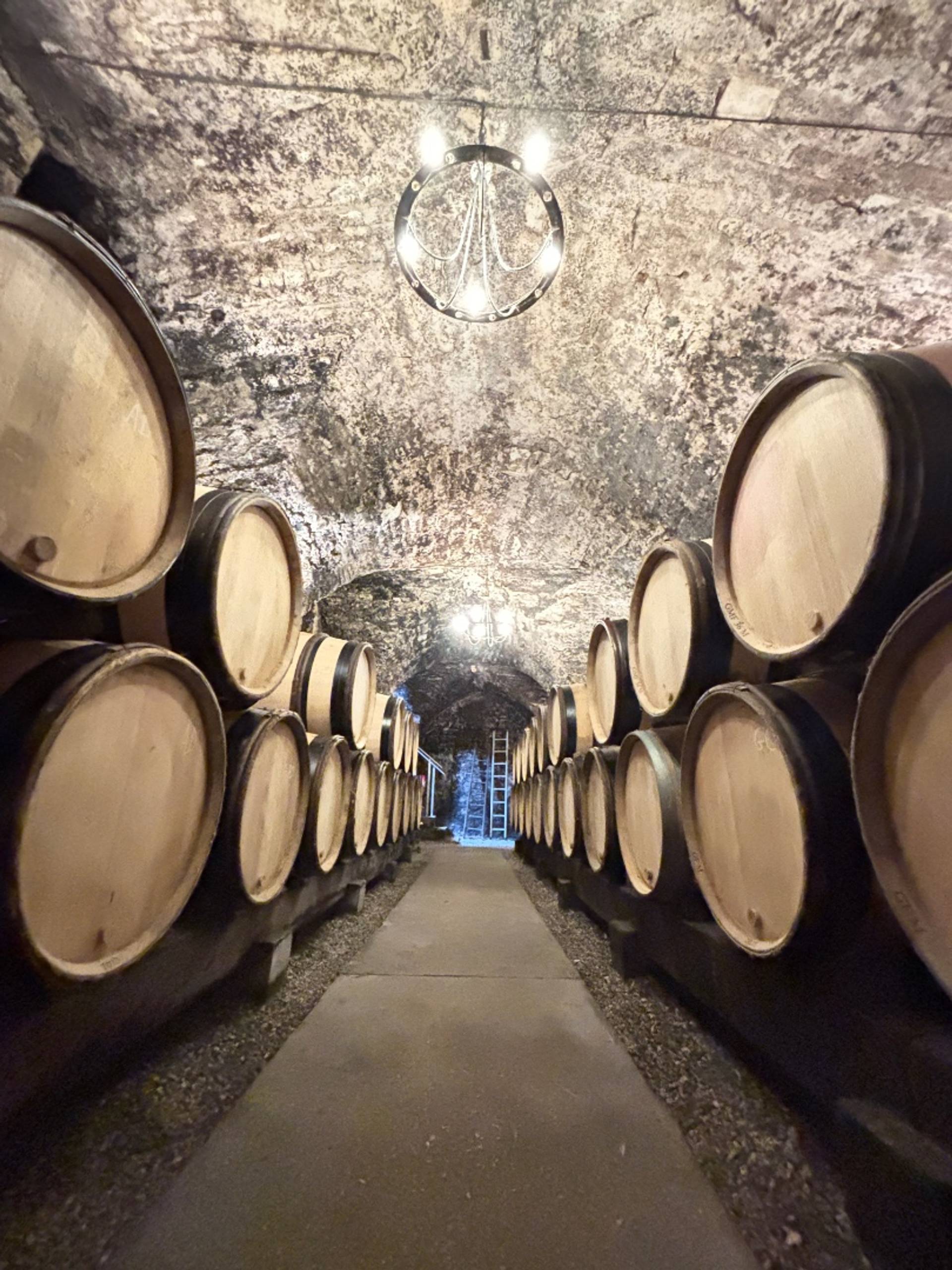 Visit and tasting of 5 wines