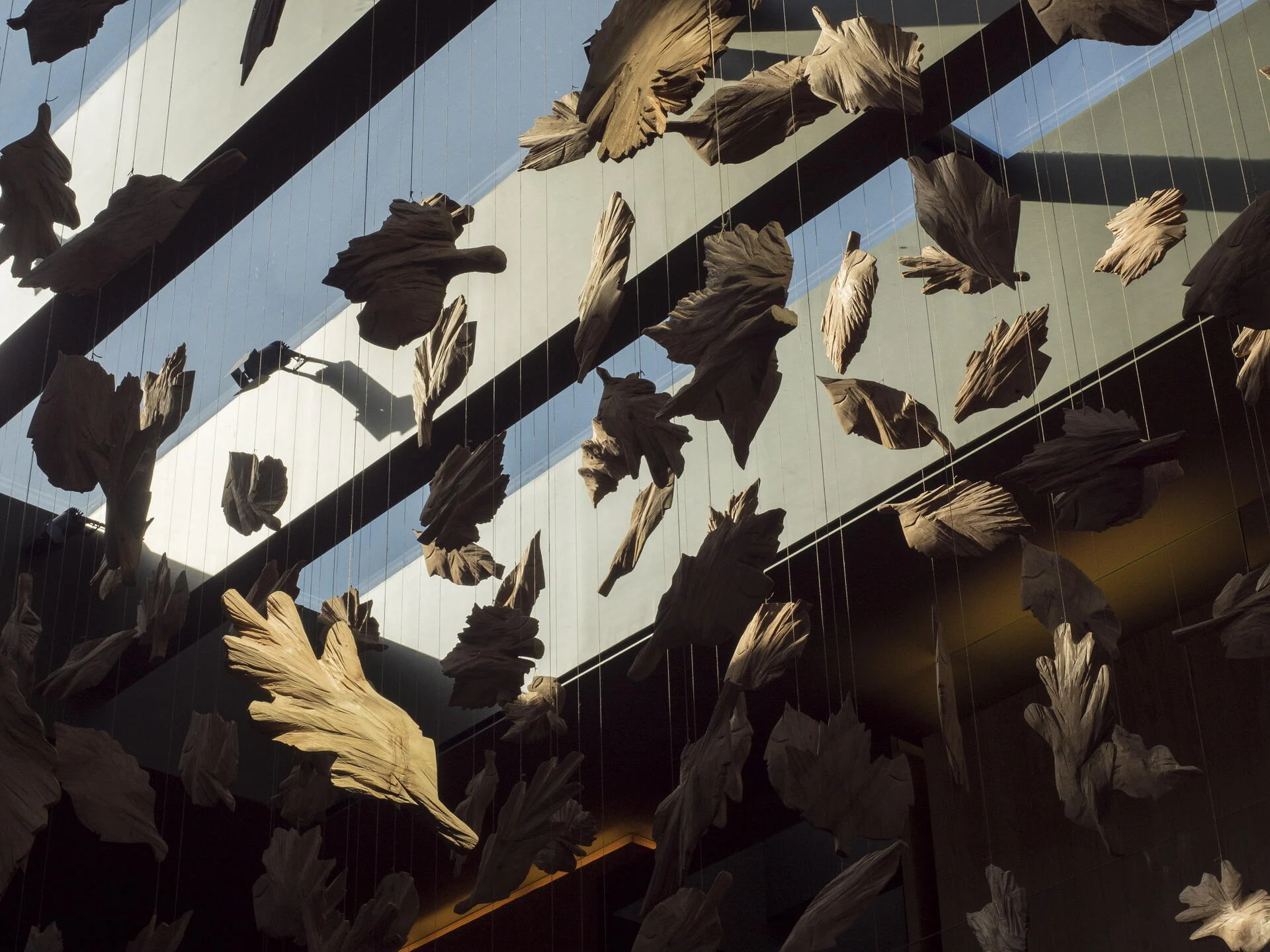 Monverde – The “Inside-Out” Grape