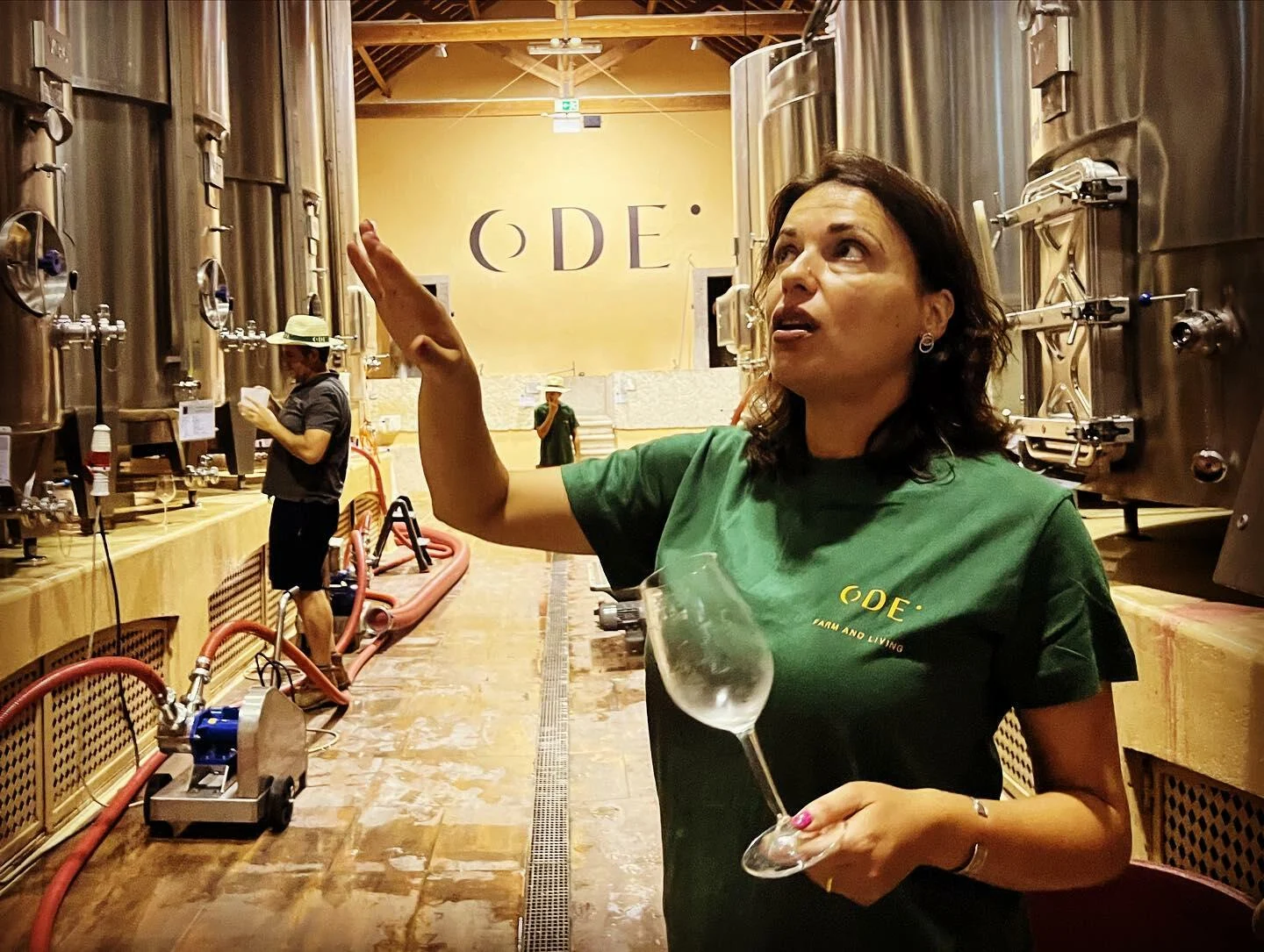 ODE Winery – Visita & Prova de Vinhos