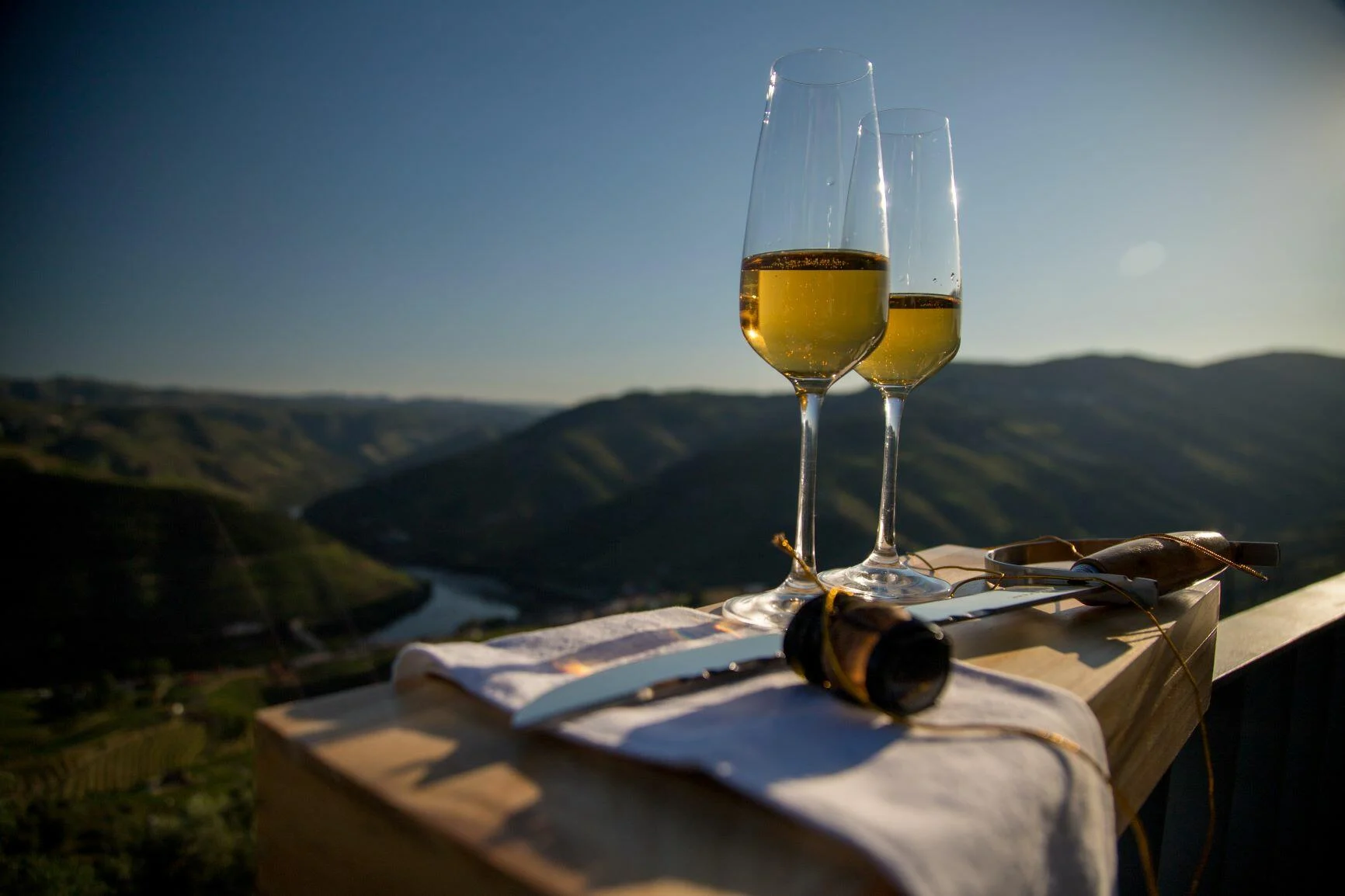 Douro Sommelier Tour com Passeio de Barco Privado