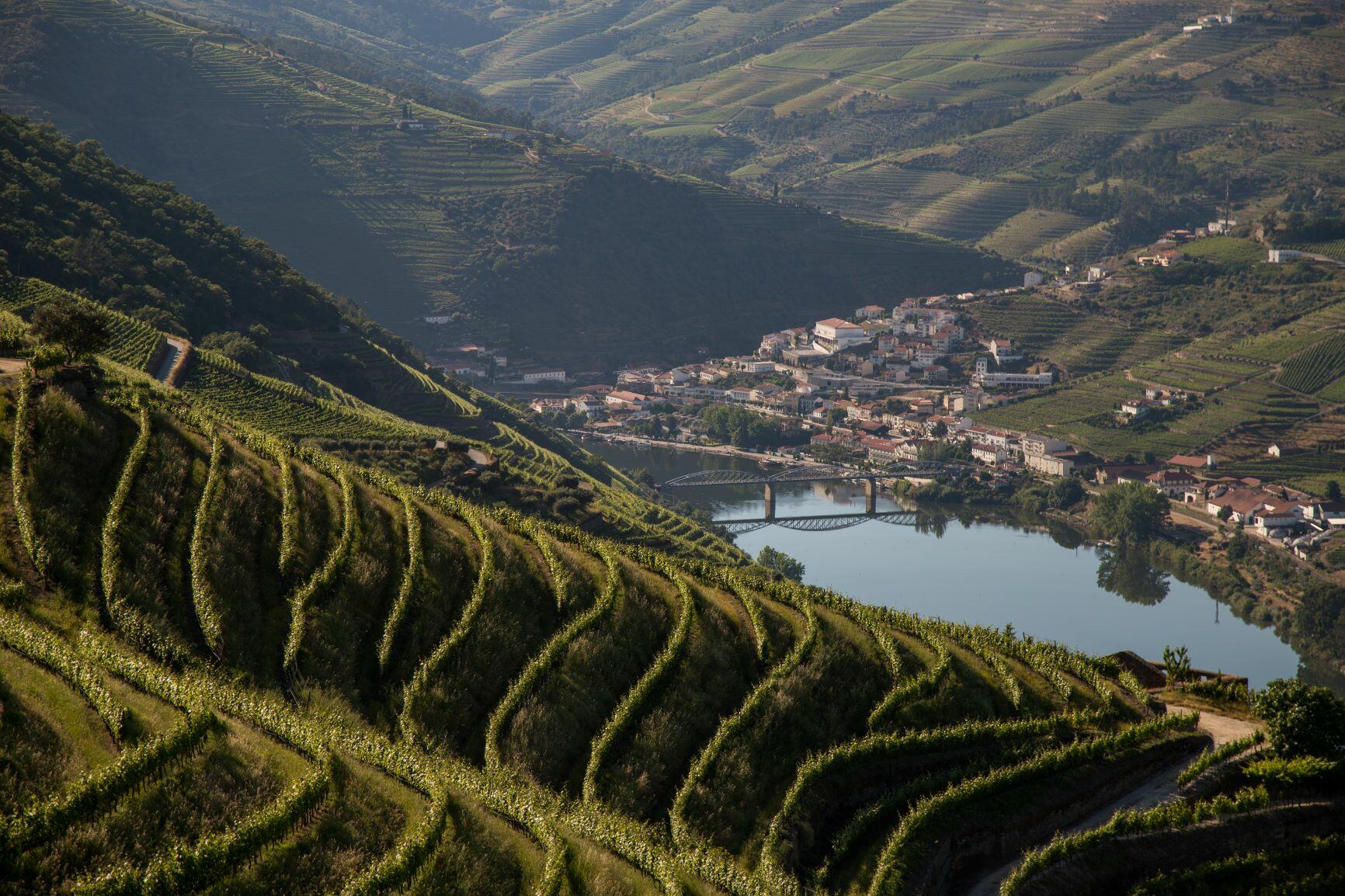 Douro Sommelier Tour com Passeio de Barco Privado