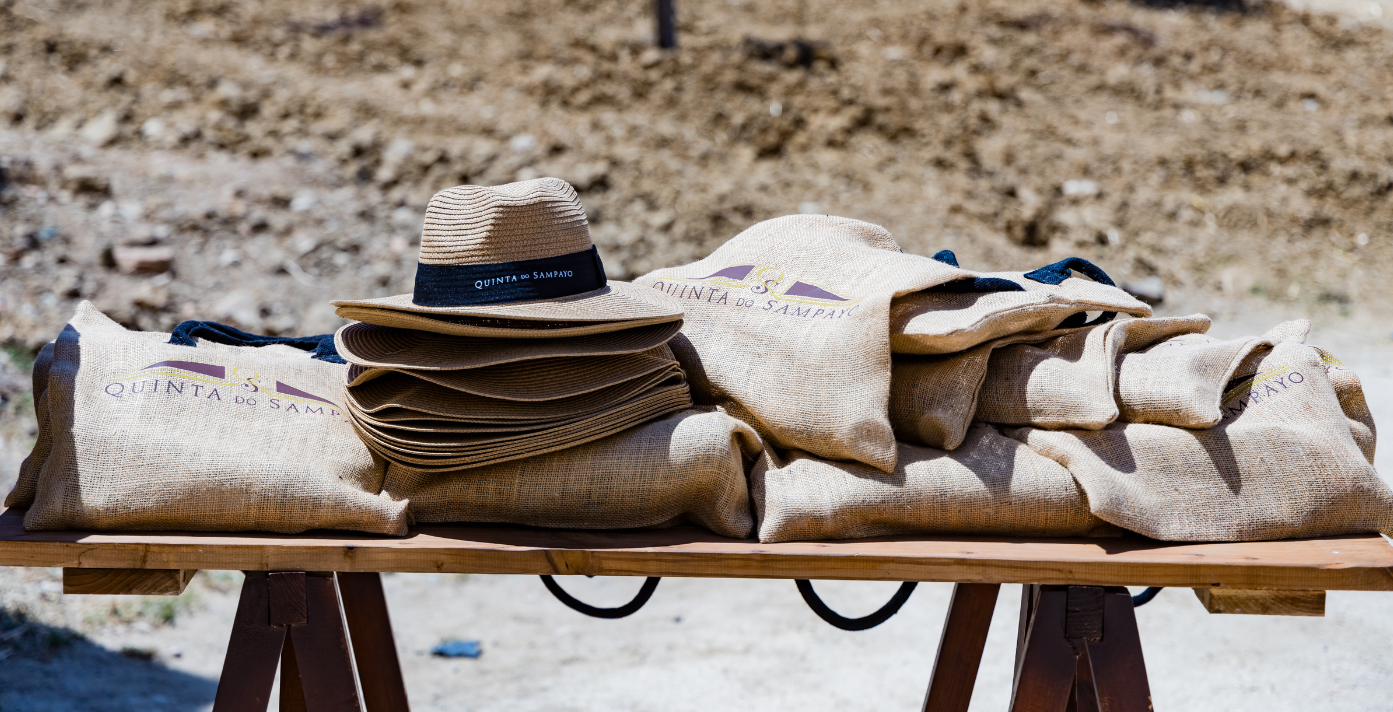 Quinta do Sampayo – Piquenique na Vinha