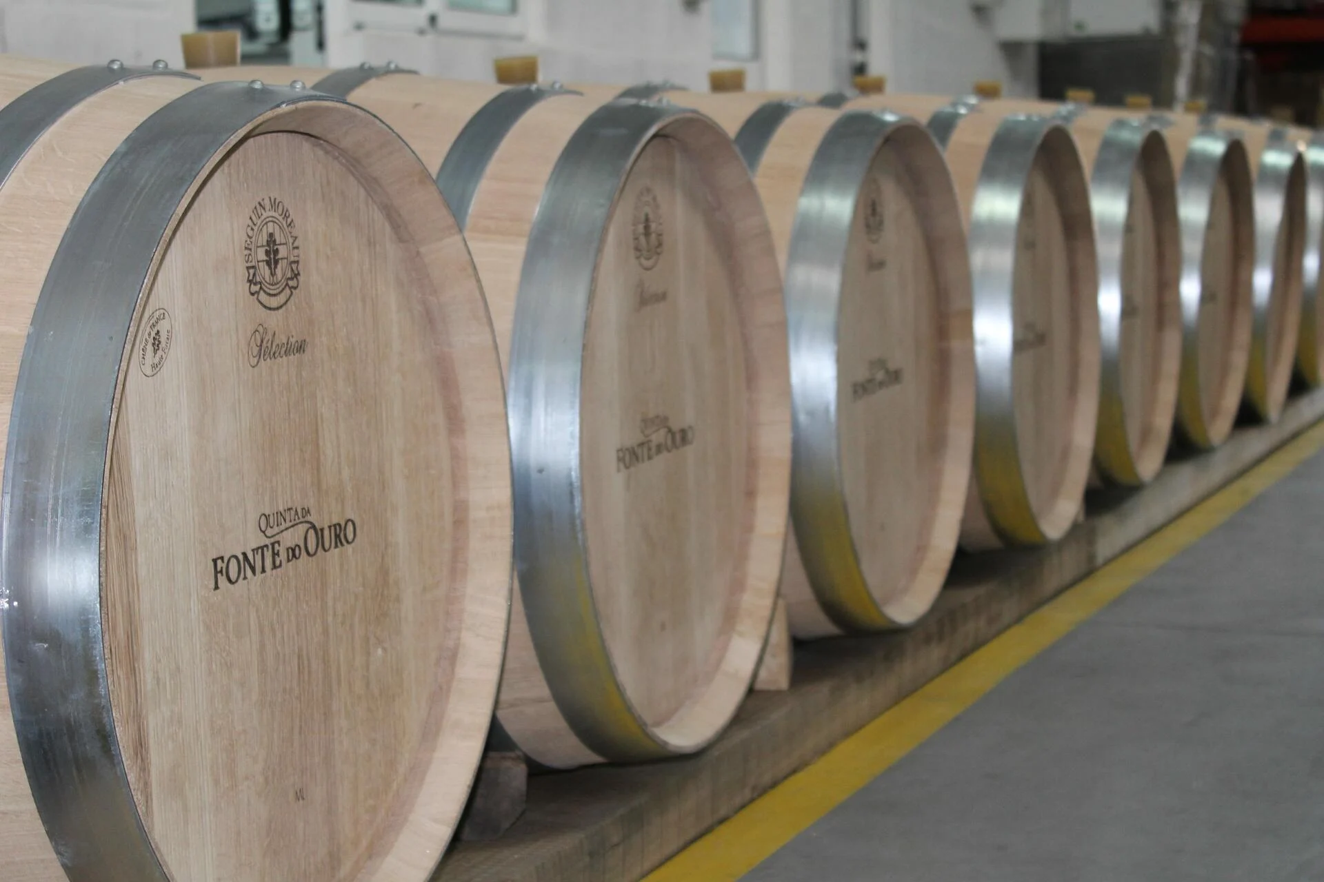 Boas Quintas – O Meu Vinho