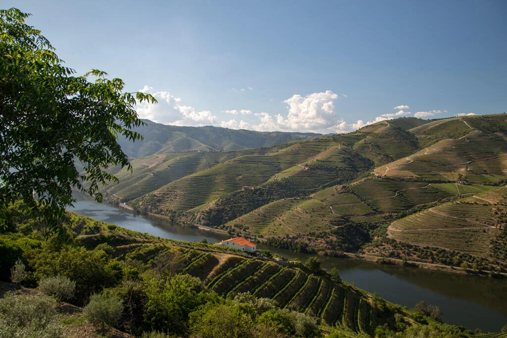 Douro Sommelier Premium Tour