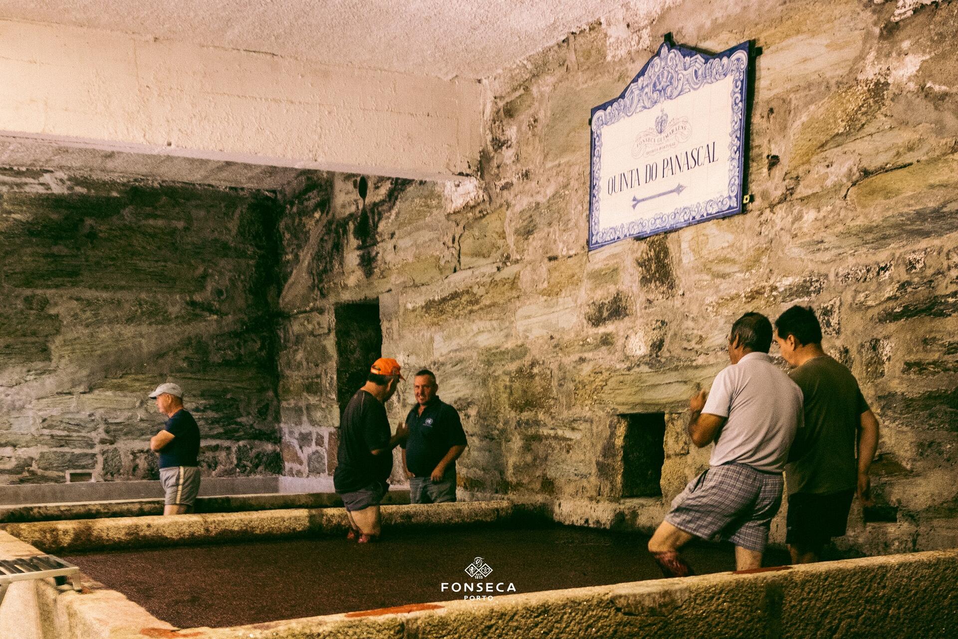 Quinta do Panascal – Visita & Prova Tawny