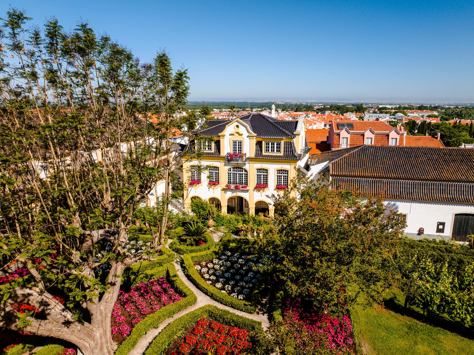 José Maria da Fonseca – Iniciação à Prova de Vinho