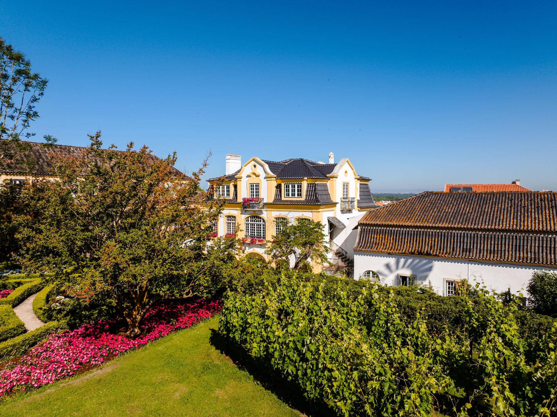 José Maria da Fonseca – Wine Blending