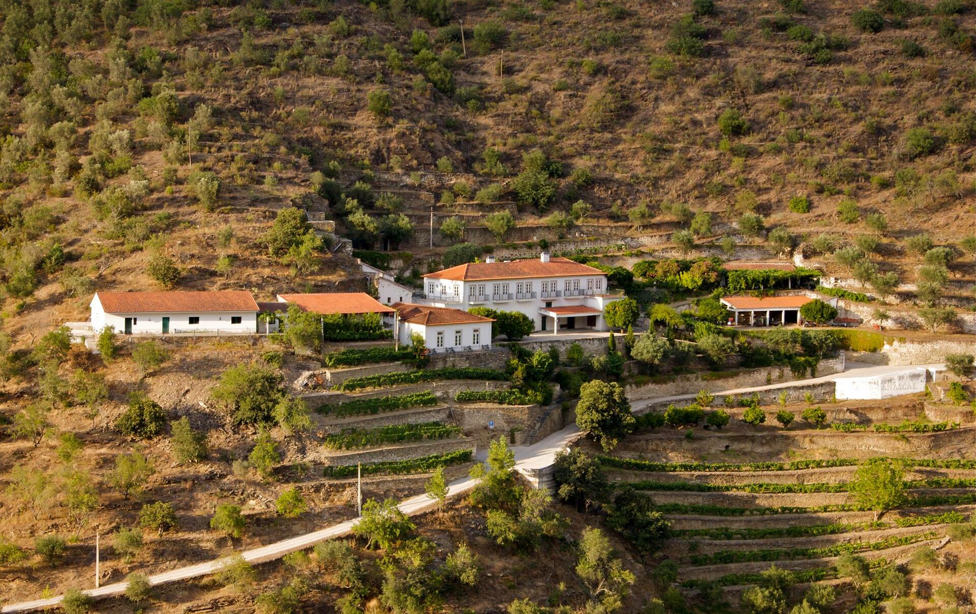 Quinta do Panascal – Visita & Prova Vintage