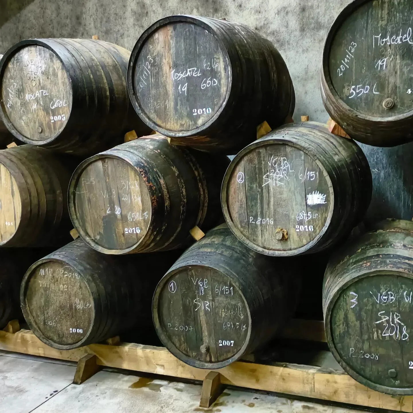 Douro Sommelier Tour de Meio-Dia