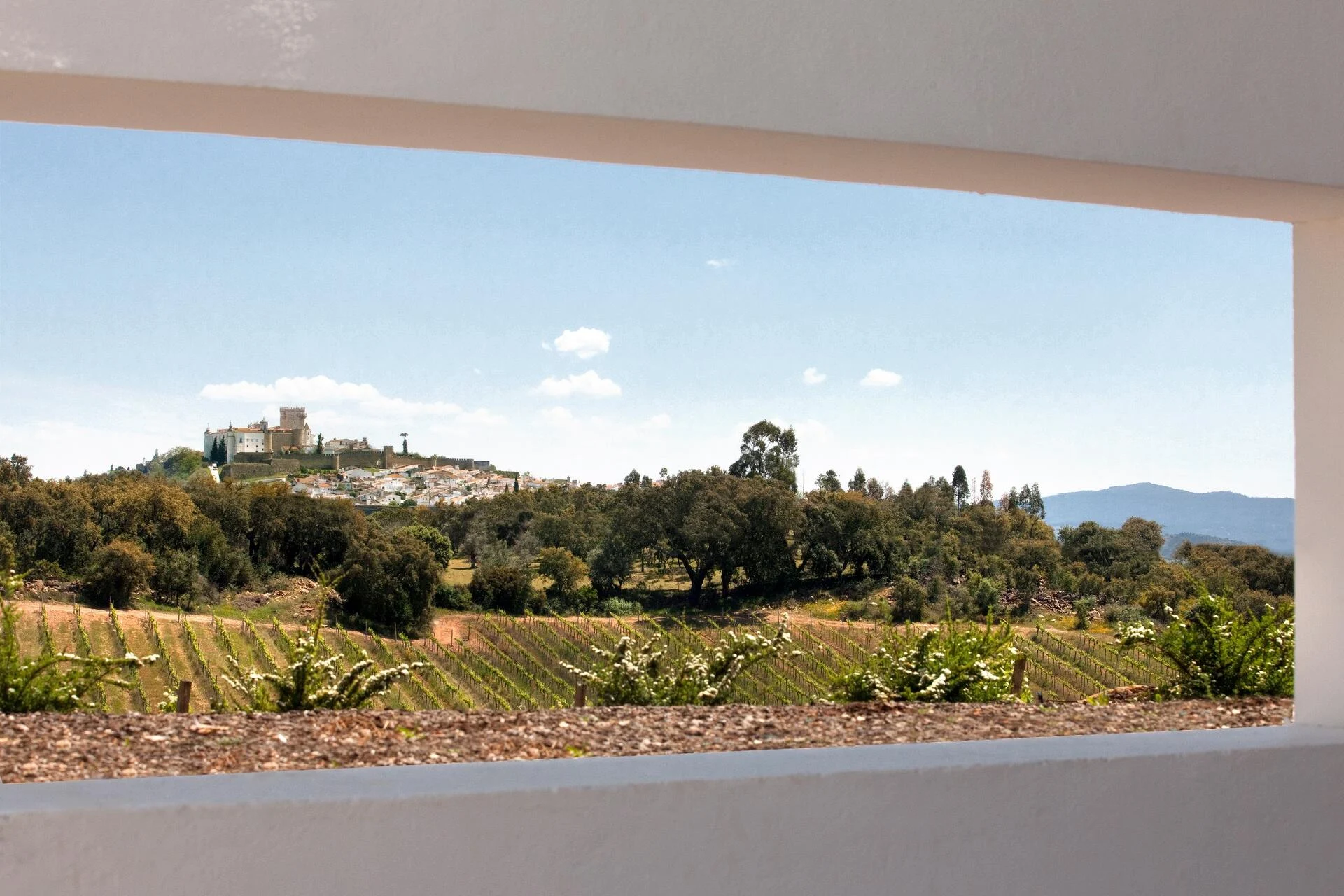 Adega Monte Branco – Visita & Prova