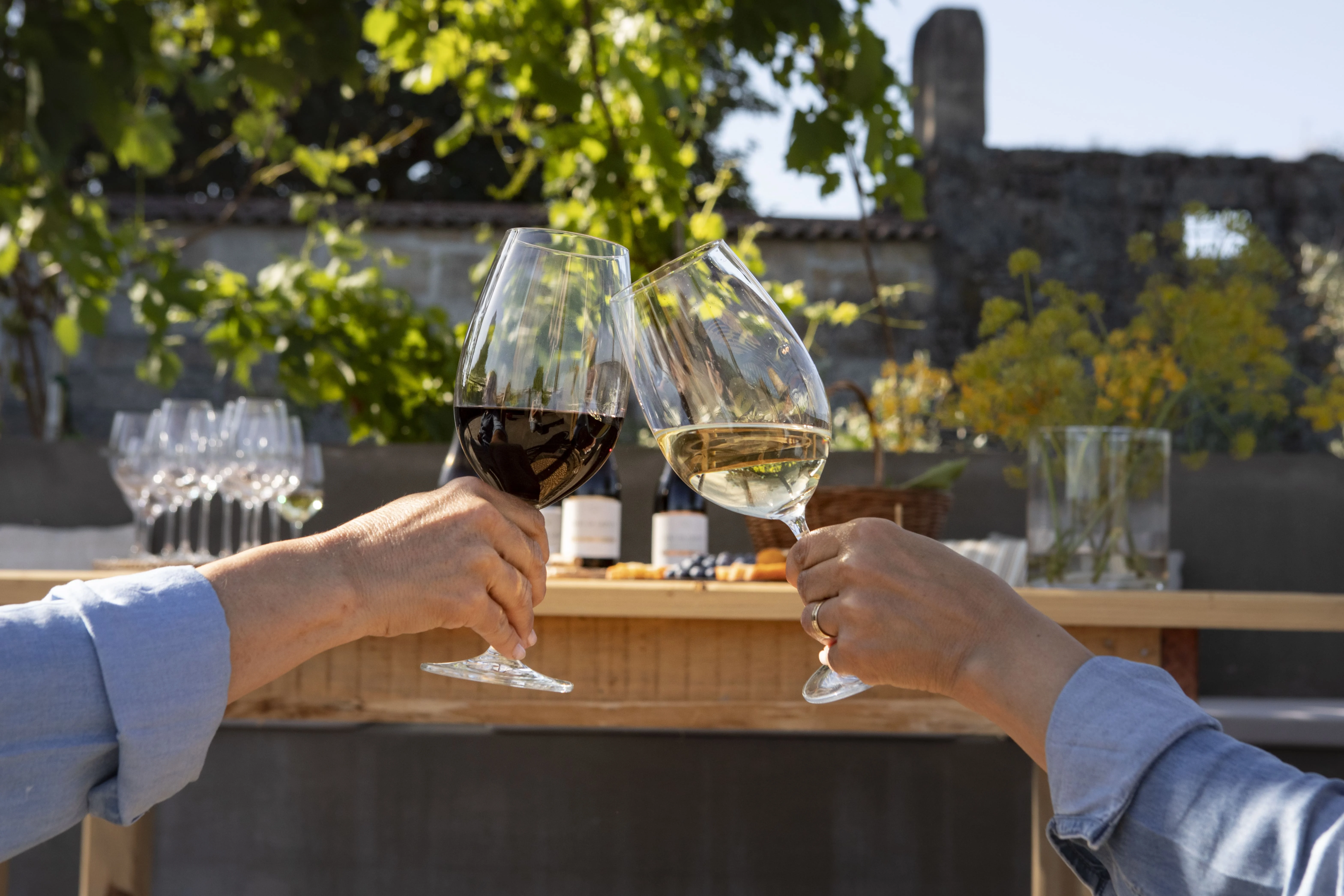 Chão de São Francisco – Prova Grande Reserva