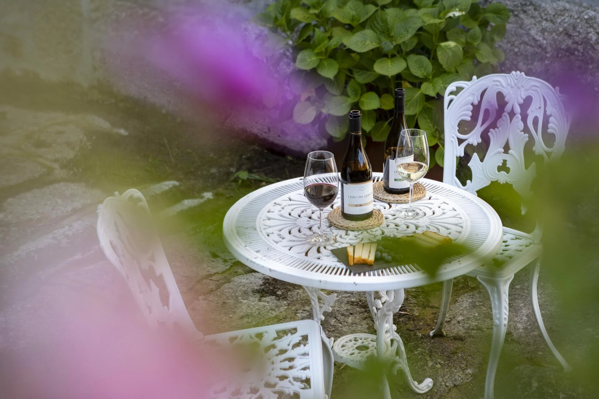 Chão de São Francisco – Prova Grande Reserva