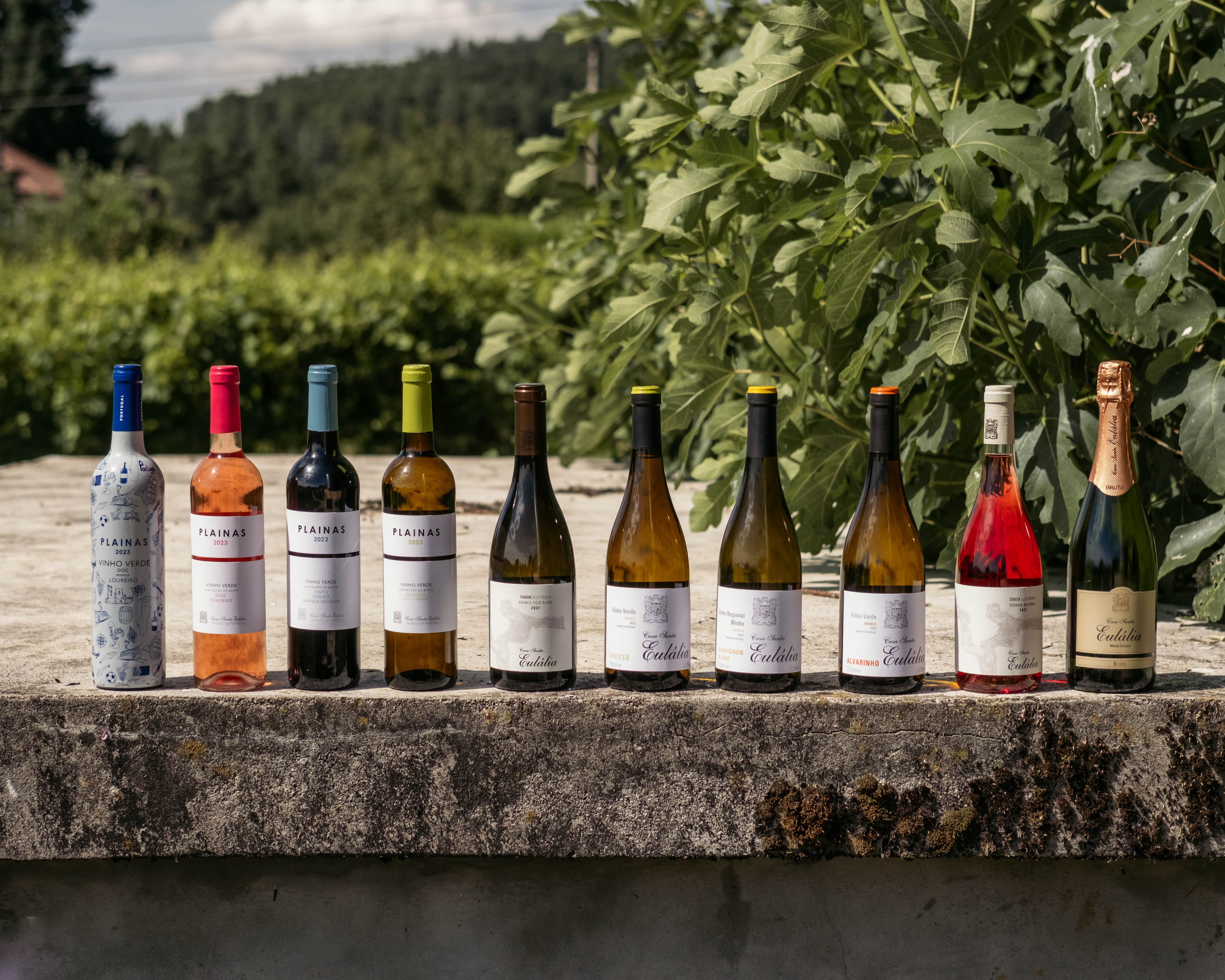 Casa Santa Eulália – Prova Sub-Região do Basto