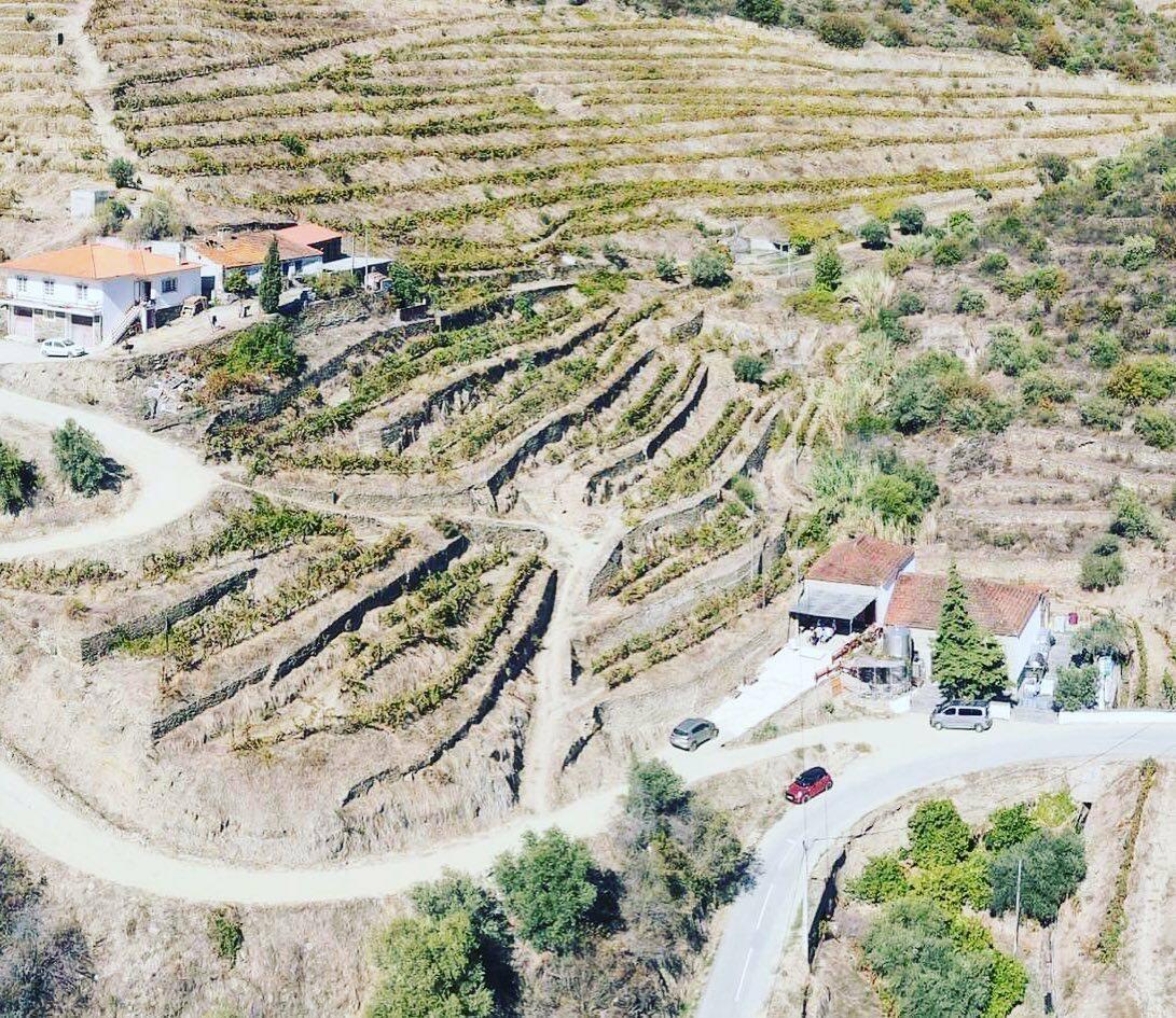 Adega Maçanita – Have You Really Met Douro?