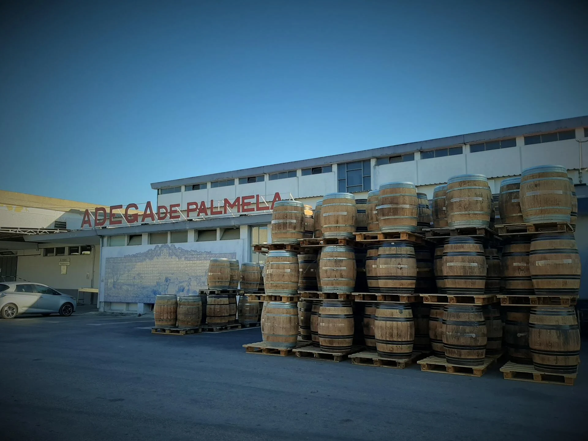 Adega de Palmela – Visita & Prova Reserva