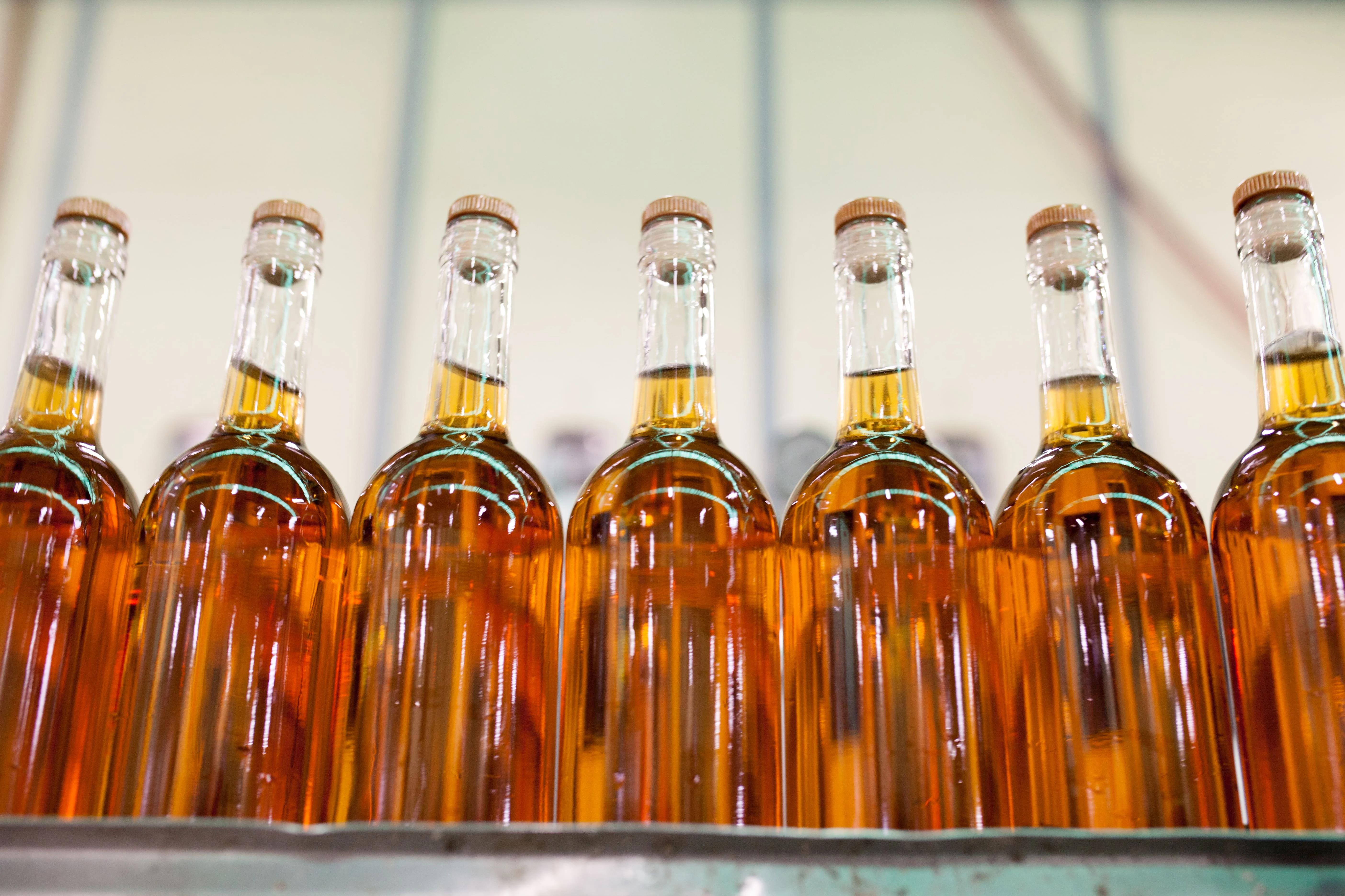 Adega de Palmela – Visita & Prova Reserva