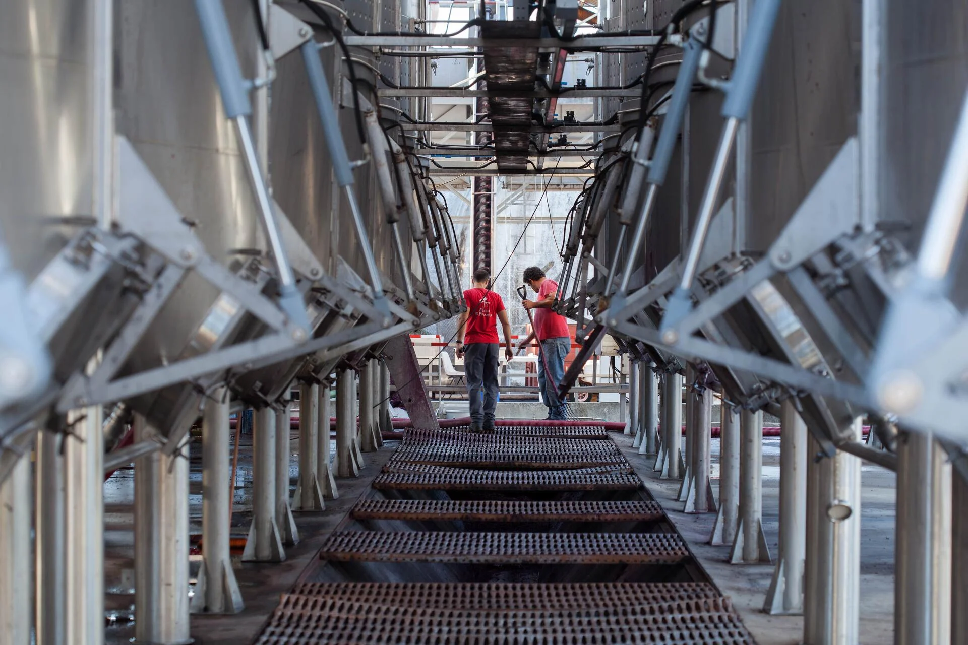 Adega de Palmela – Visita & Prova Reserva