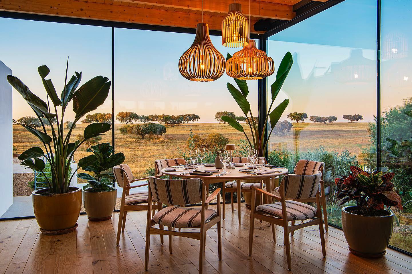 A Elegância dos Vinhos do Baixo Alentejo