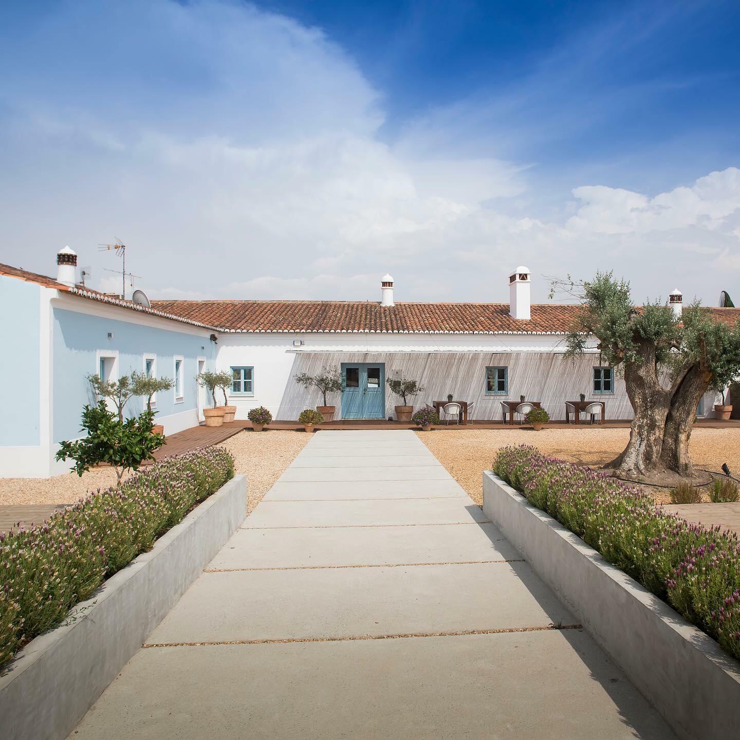 A Elegância dos Vinhos do Baixo Alentejo