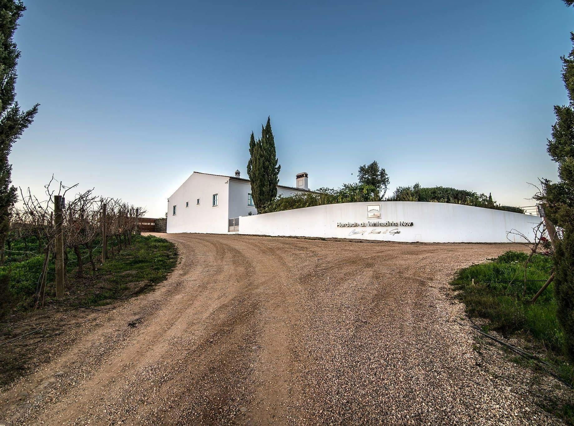 A Elegância dos Vinhos do Baixo Alentejo