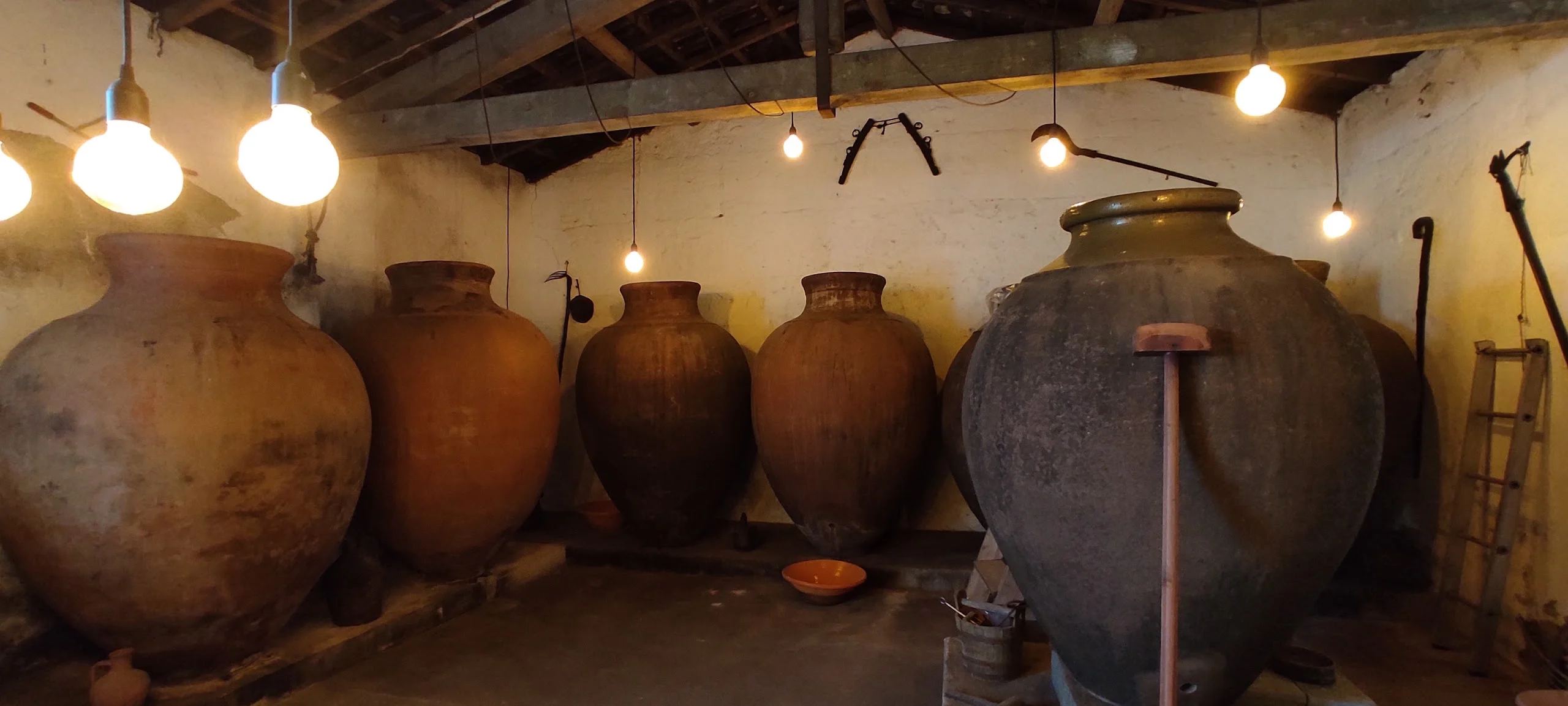Herdade do Rocim – Amphora Wine Tour