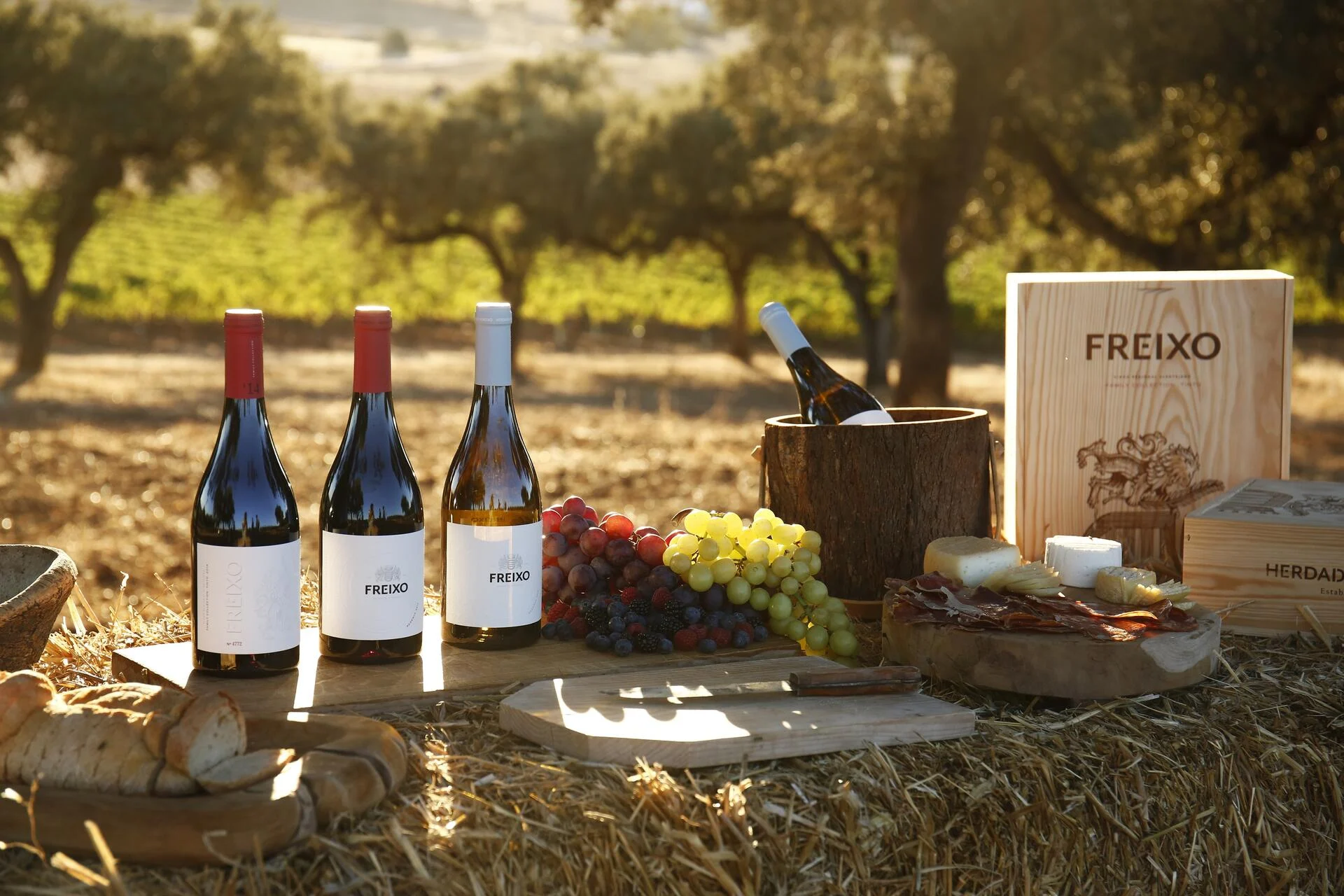 Herdade do Freixo – Piquenique Gourmet