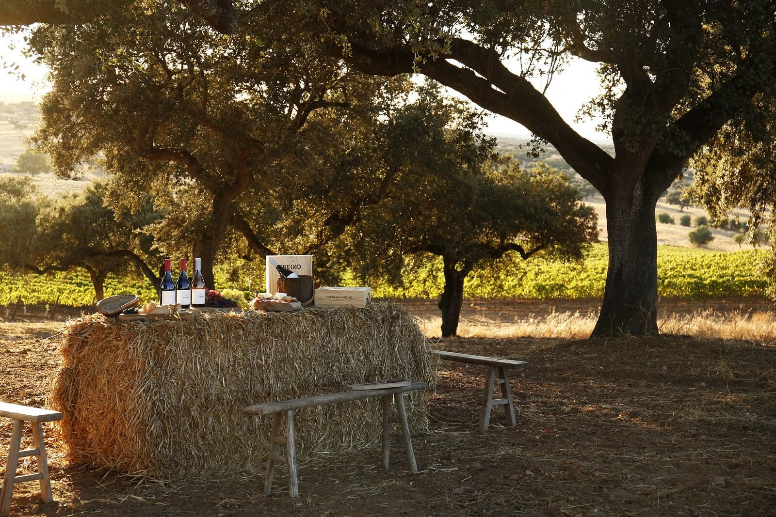 Herdade do Freixo – Piquenique Gourmet