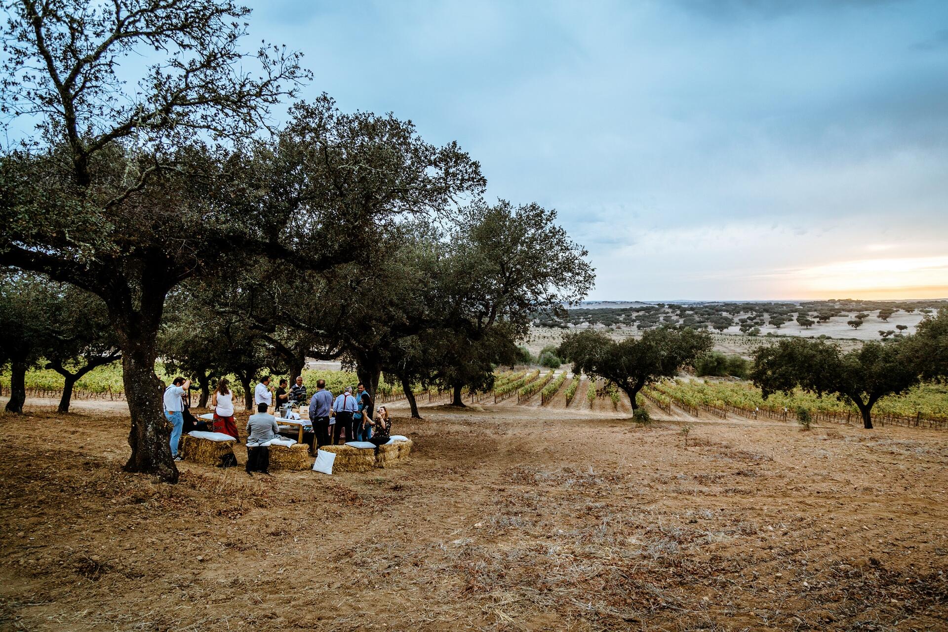 Herdade do Freixo – Piquenique Gourmet