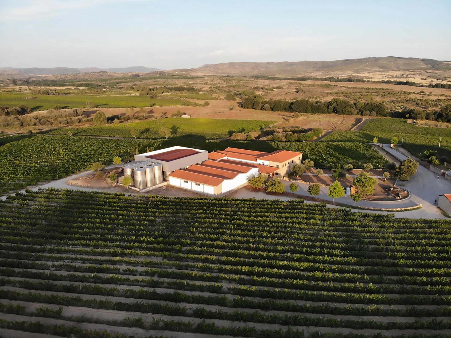 Quinta dos Termos – Visita & Prova