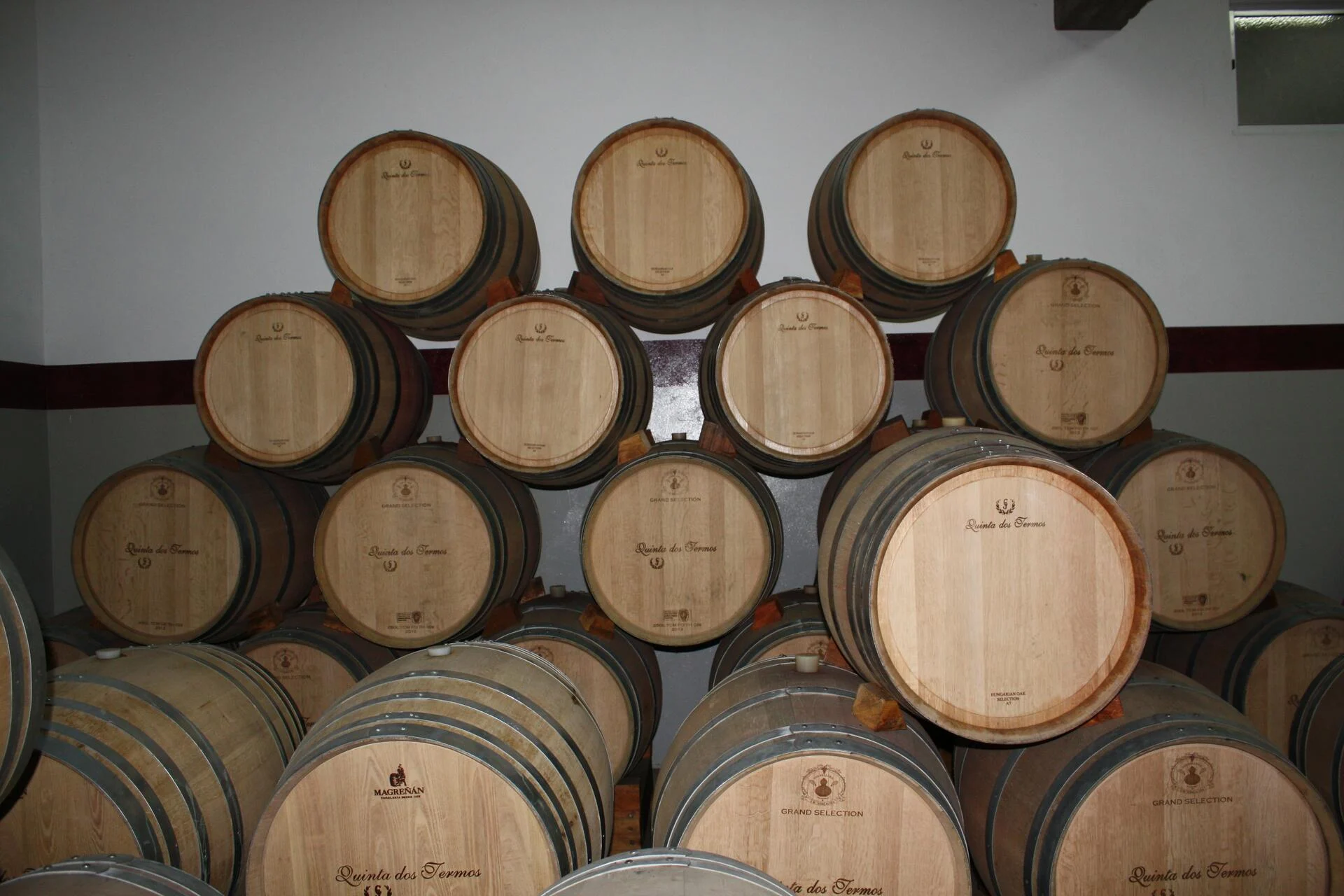 Quinta dos Termos – Visita & Prova