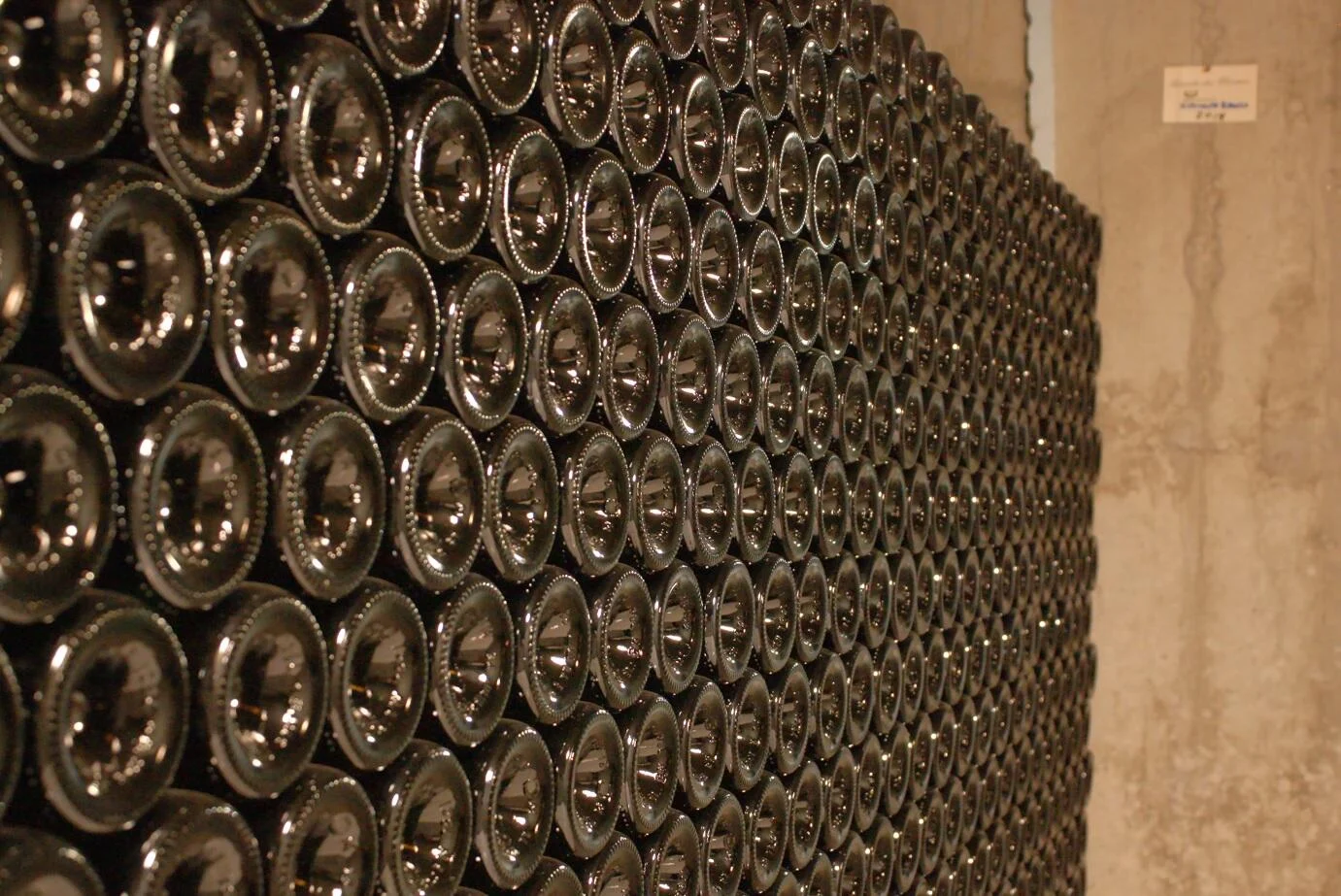 Quinta dos Termos – Visita & Prova