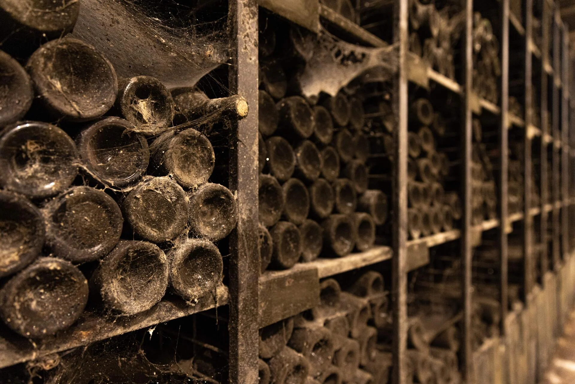 19|90 Wine Center Santar – 3 Terroirs Lovers