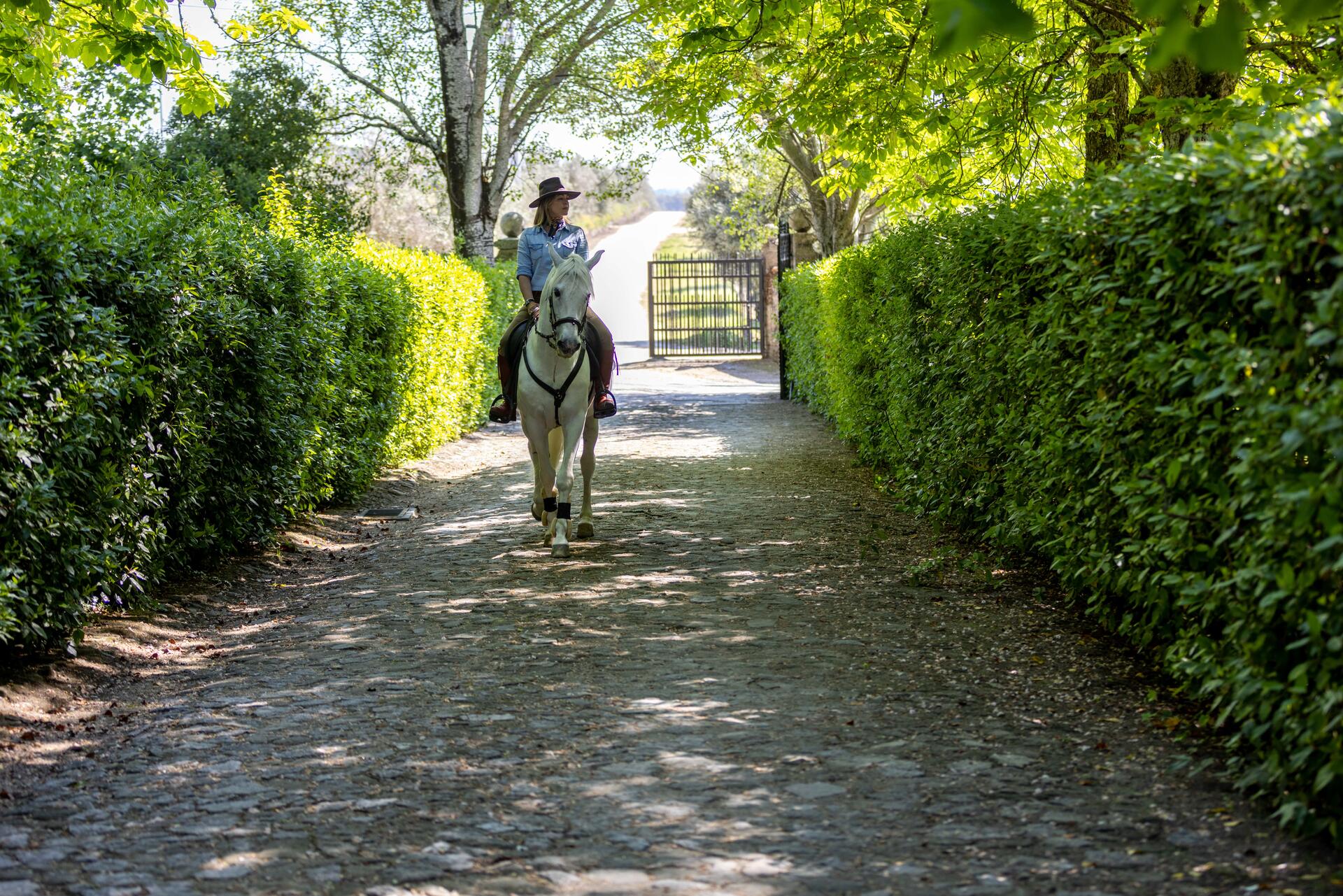 19|90 Wine Center Santar – 3 Terroirs Prestige
