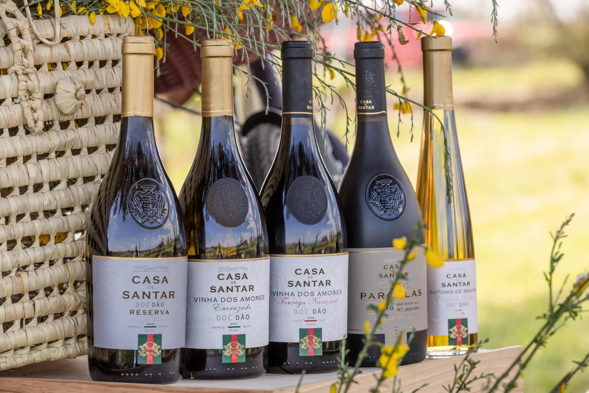 19|90 Wine Center Santar – 3 Terroirs Prestige