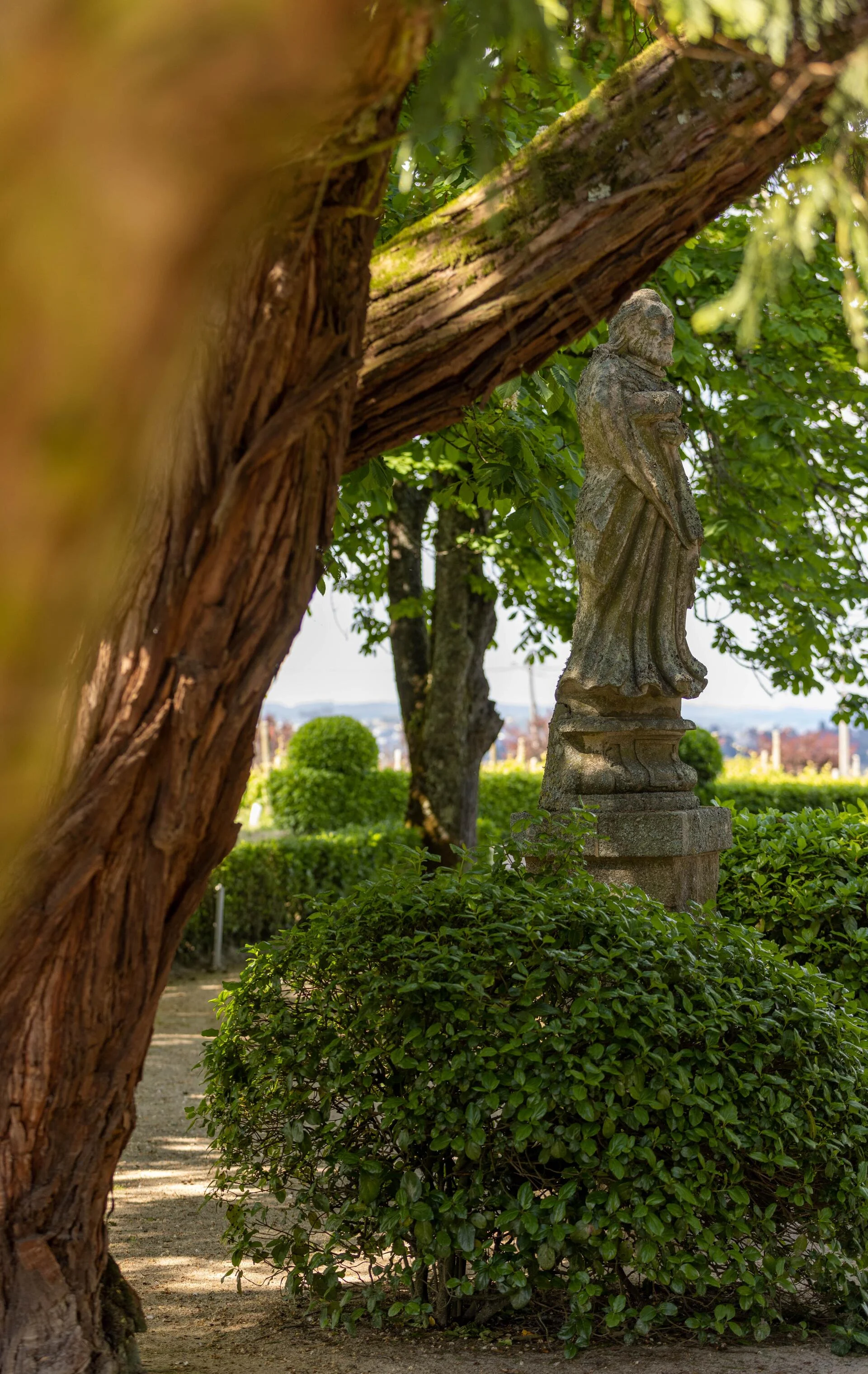 19|90 Wine Center Santar–Santar Exclusive Vintage