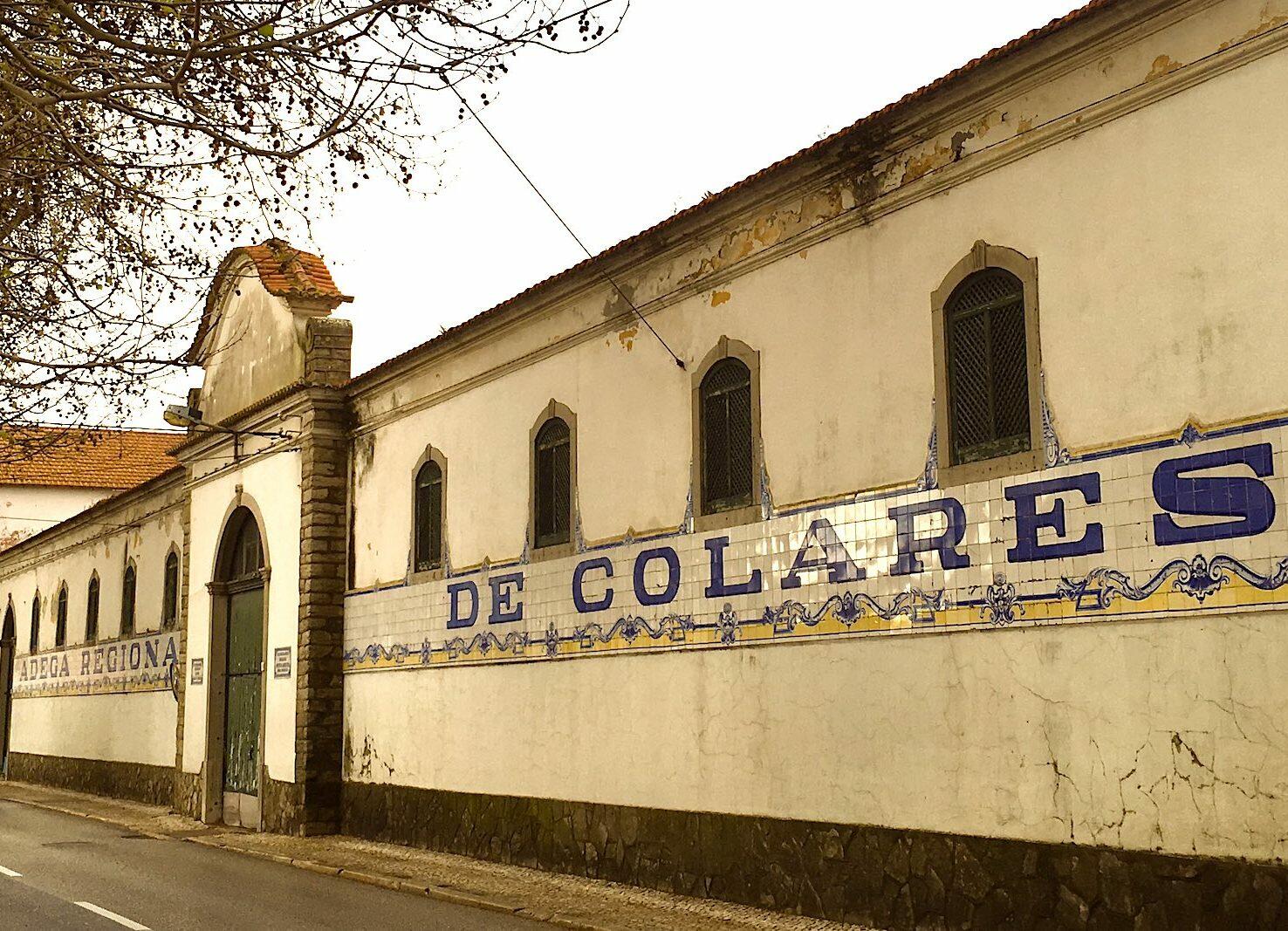 Adega de Colares – Visita & Prova Clássica