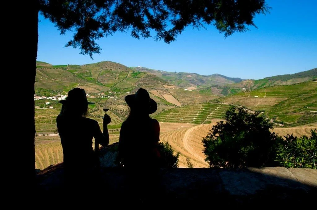 Gastronomia & Vinhos do Douro