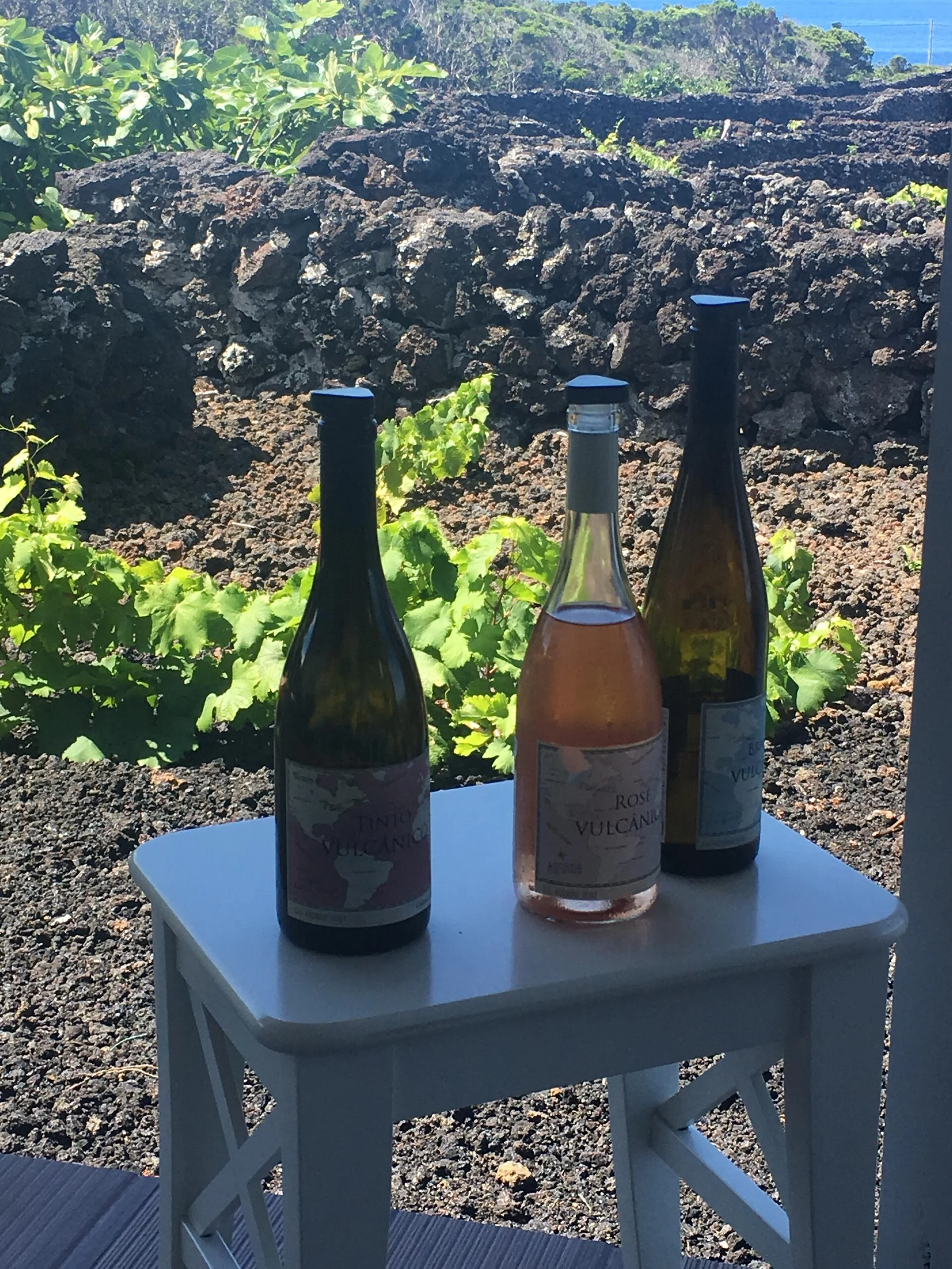 Tour de Bicicleta pelas Vinhas do Pico