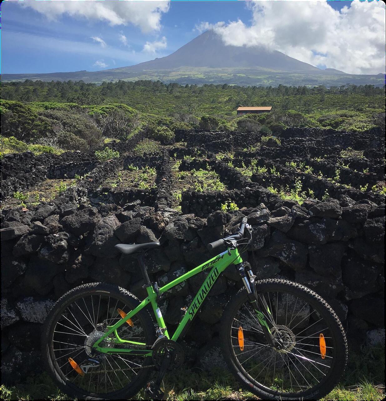 Tour de Bicicleta pelas Vinhas do Pico