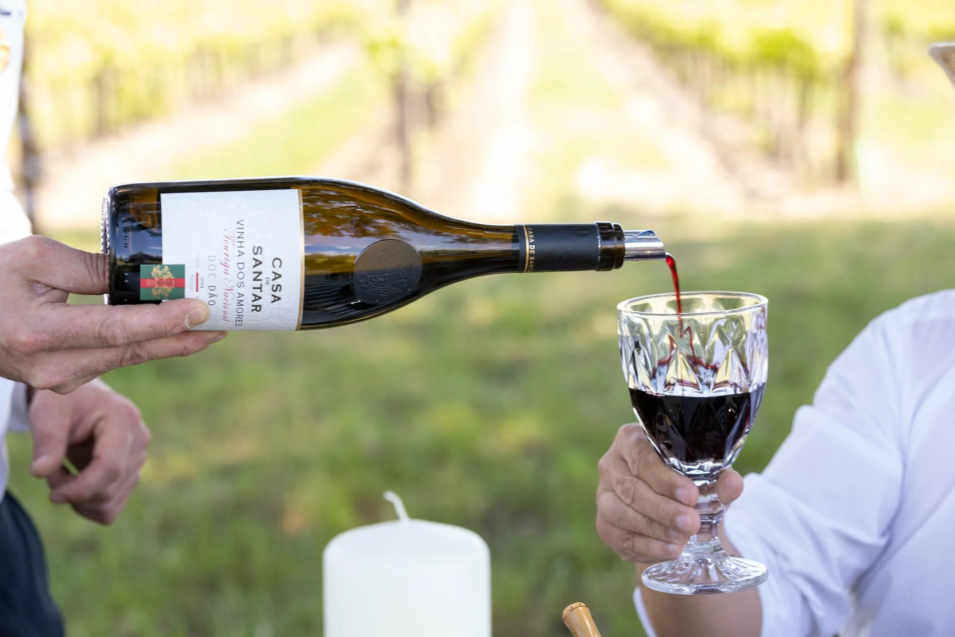 19|90 Wine Center Santar–Almoço Beirão no Sobreiro