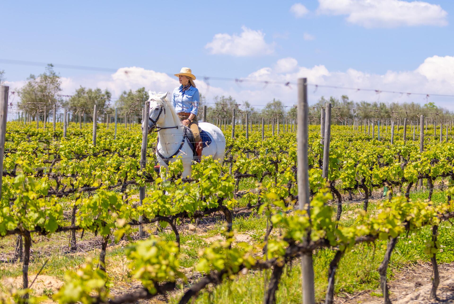 19|90 Wine Center Santar–Almoço Beirão no Sobreiro