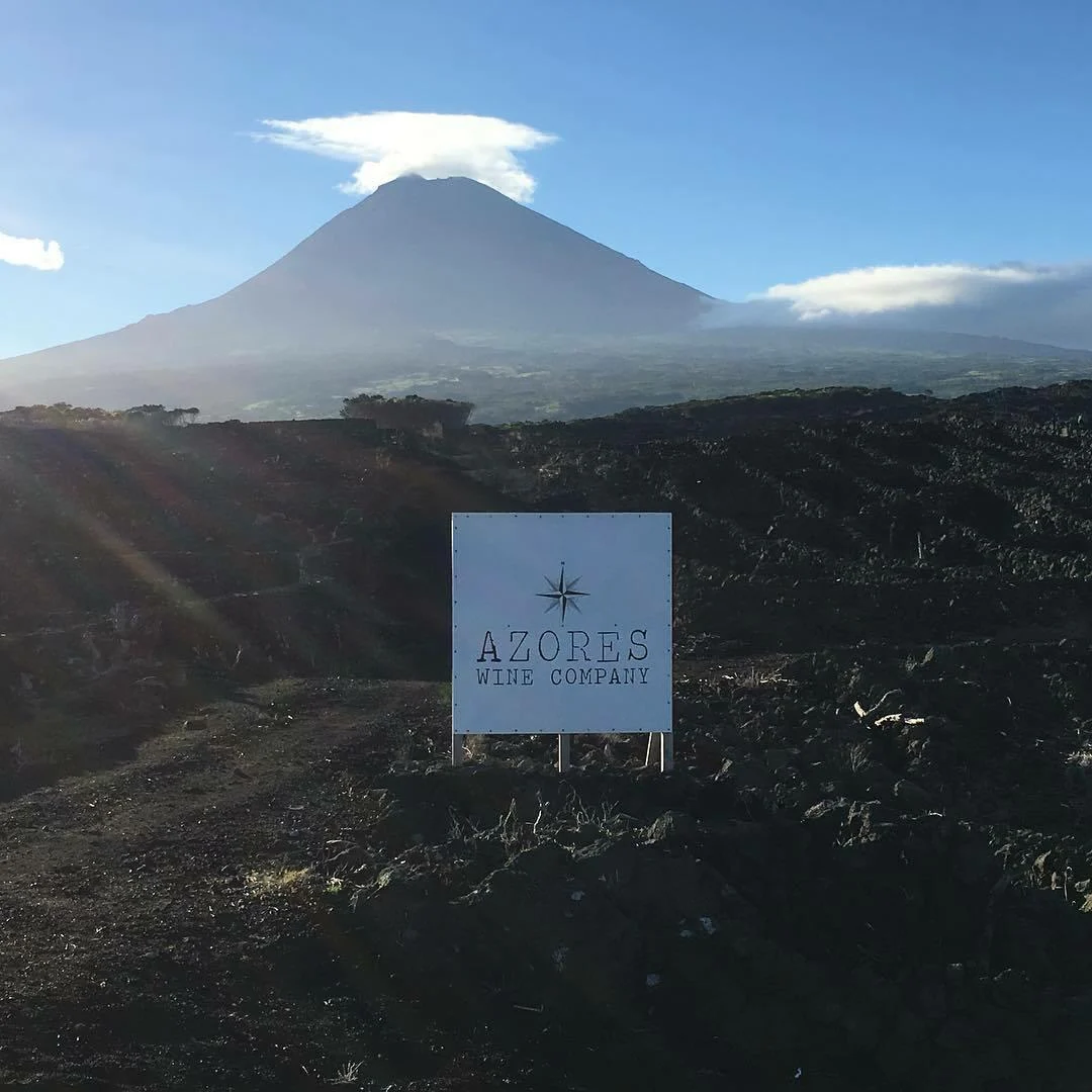 Azores Wine Company – Sal & Especiarias