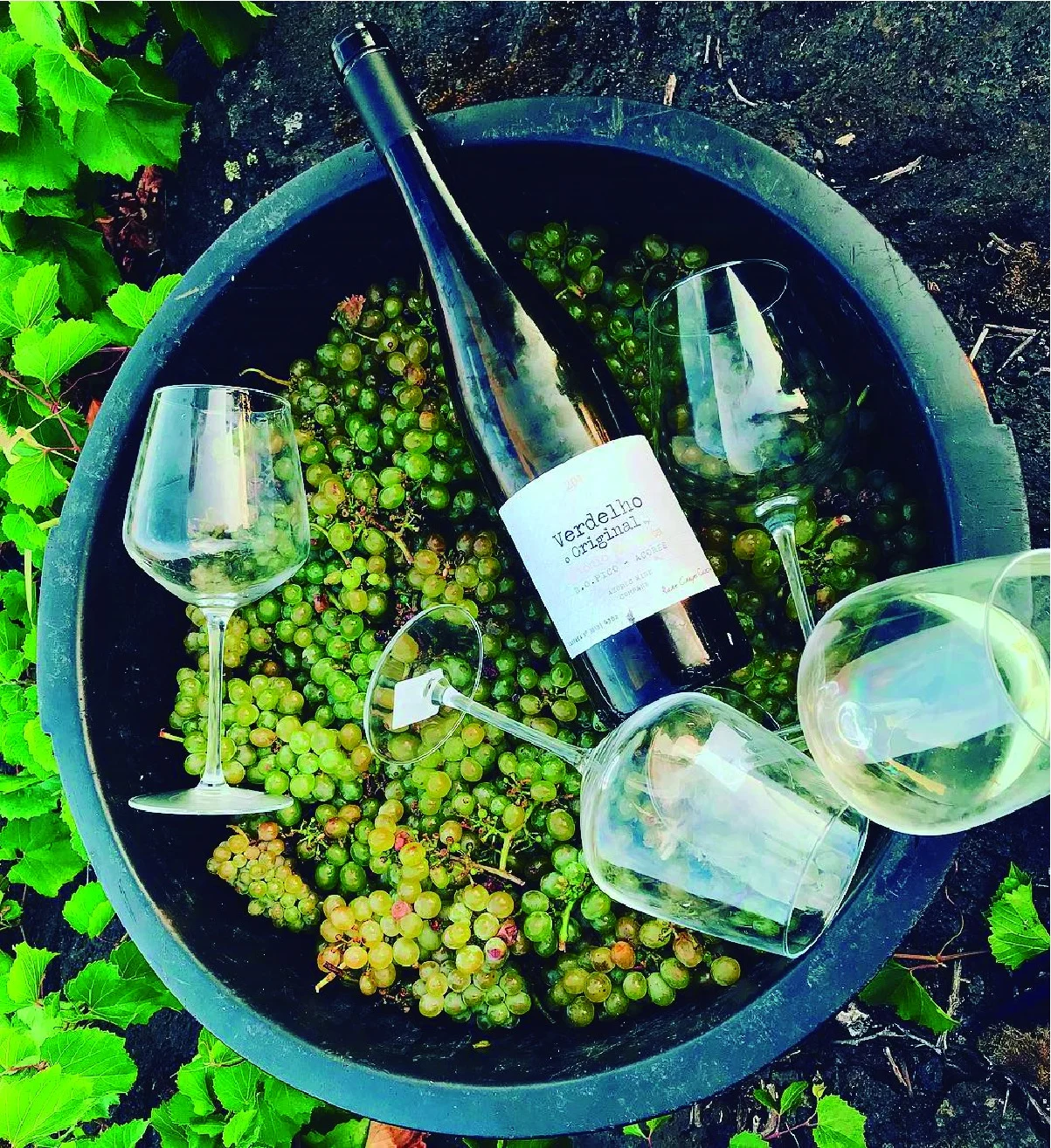 Azores Wine Company – Sal & Especiarias