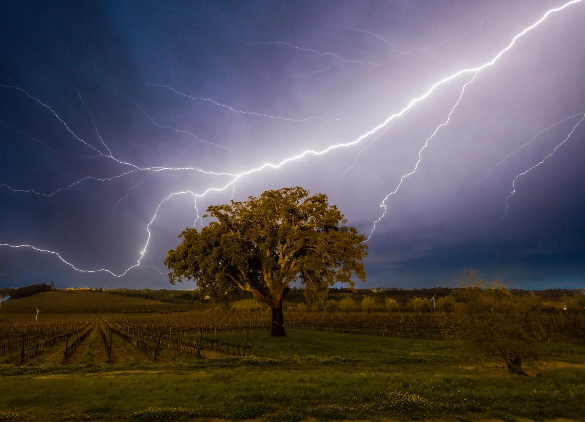 19|90 Wine Center Santar–Santar Vila&Vinha by Jipe