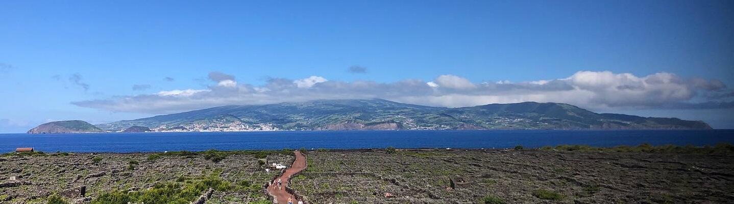 Azores Wine Company – Viagem das Castas