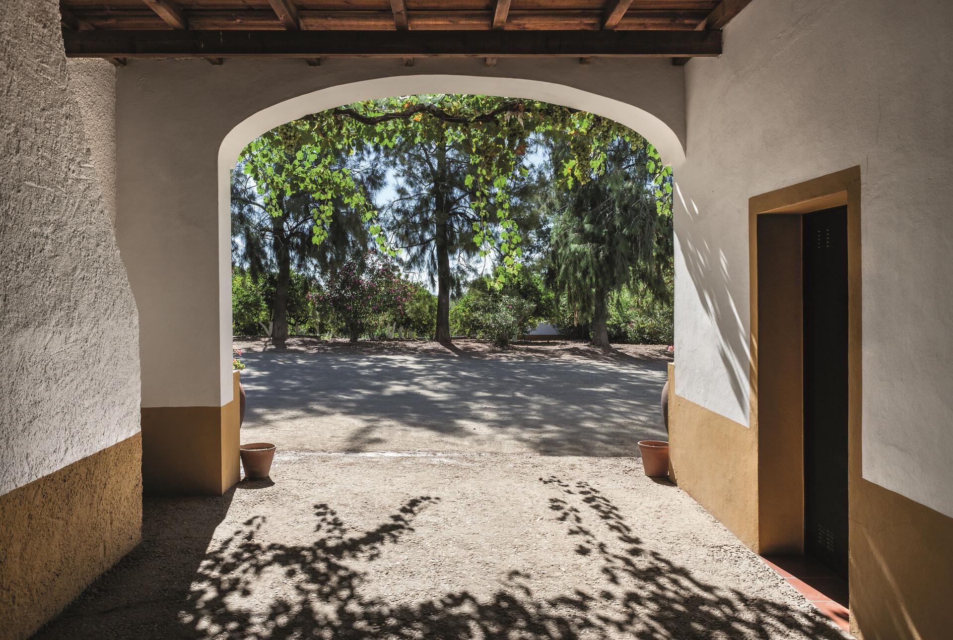 Herdade Grande – Vinhos & Piquenique