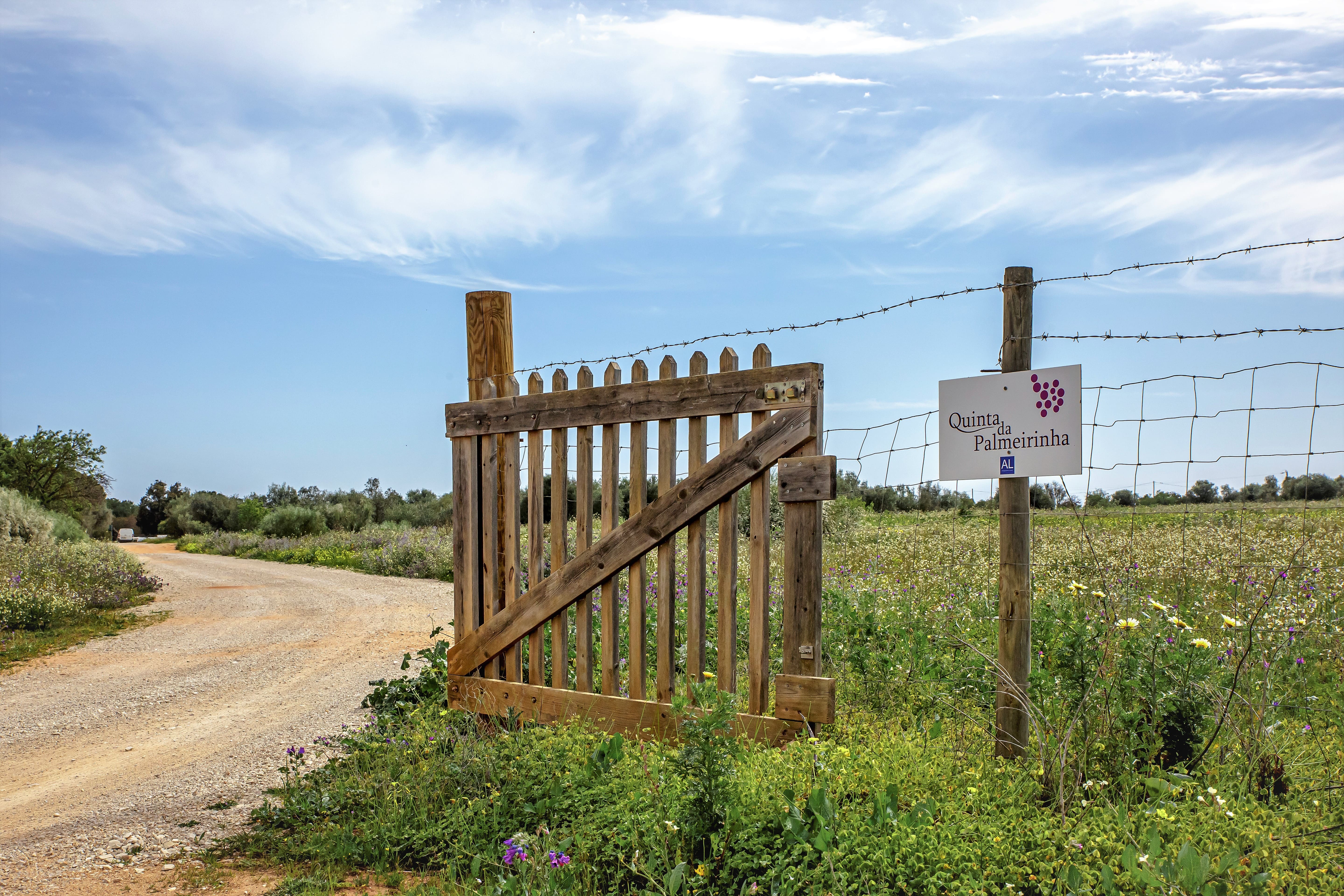 Quinta da Palmeirinha – Prova & Visita Histórica