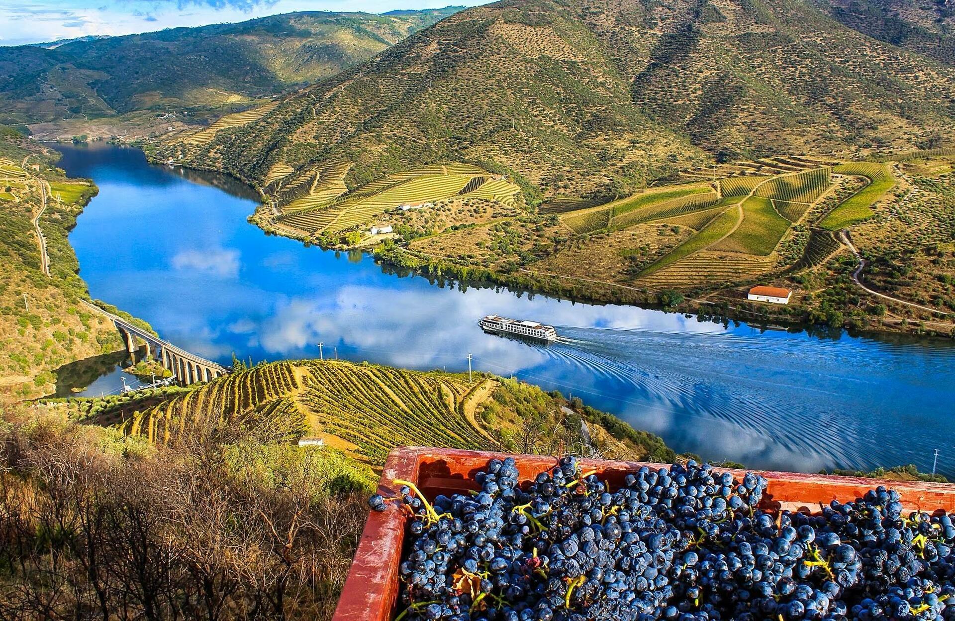 Essência do Douro