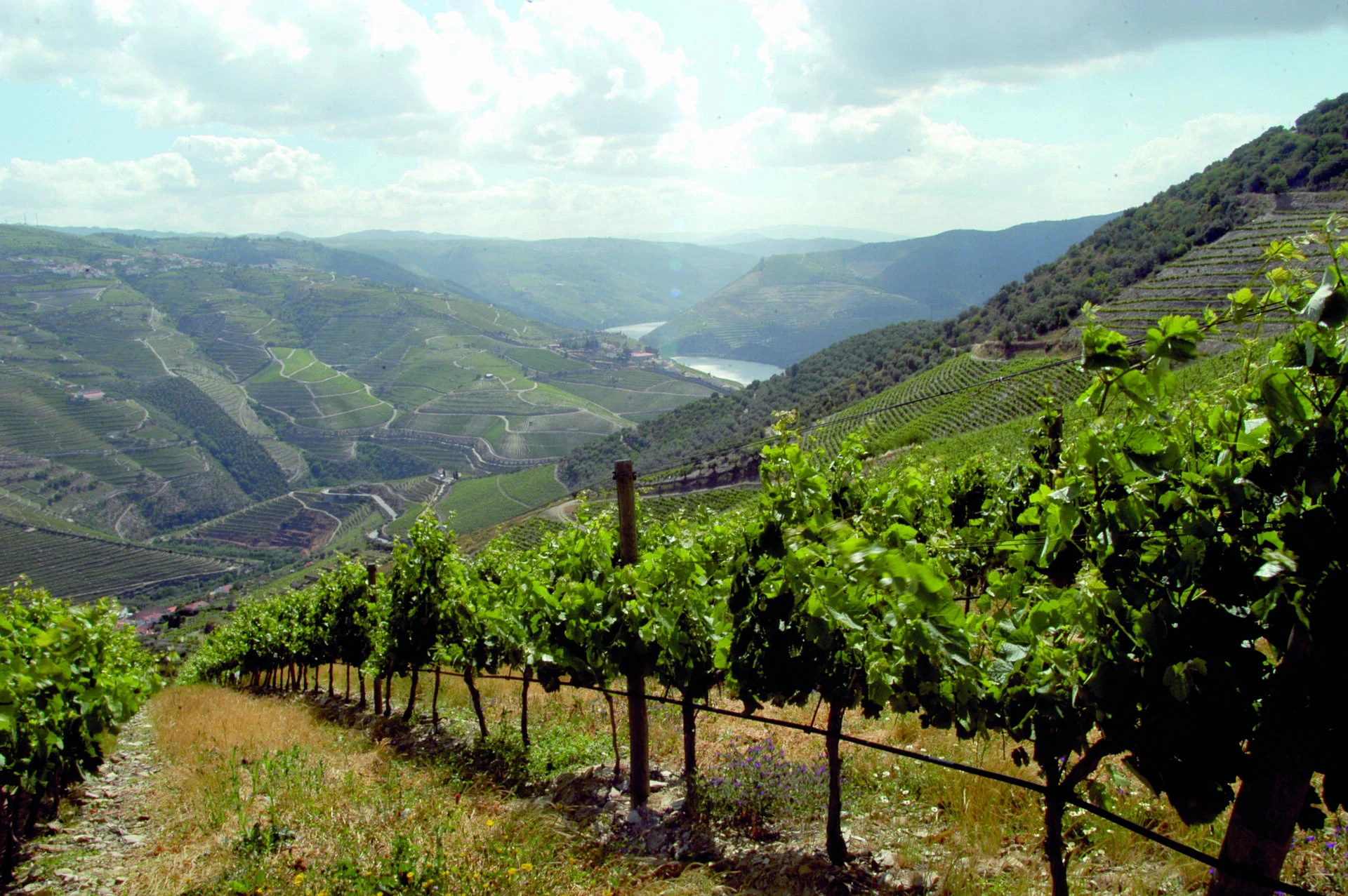 Régua – Pocinho – Régua